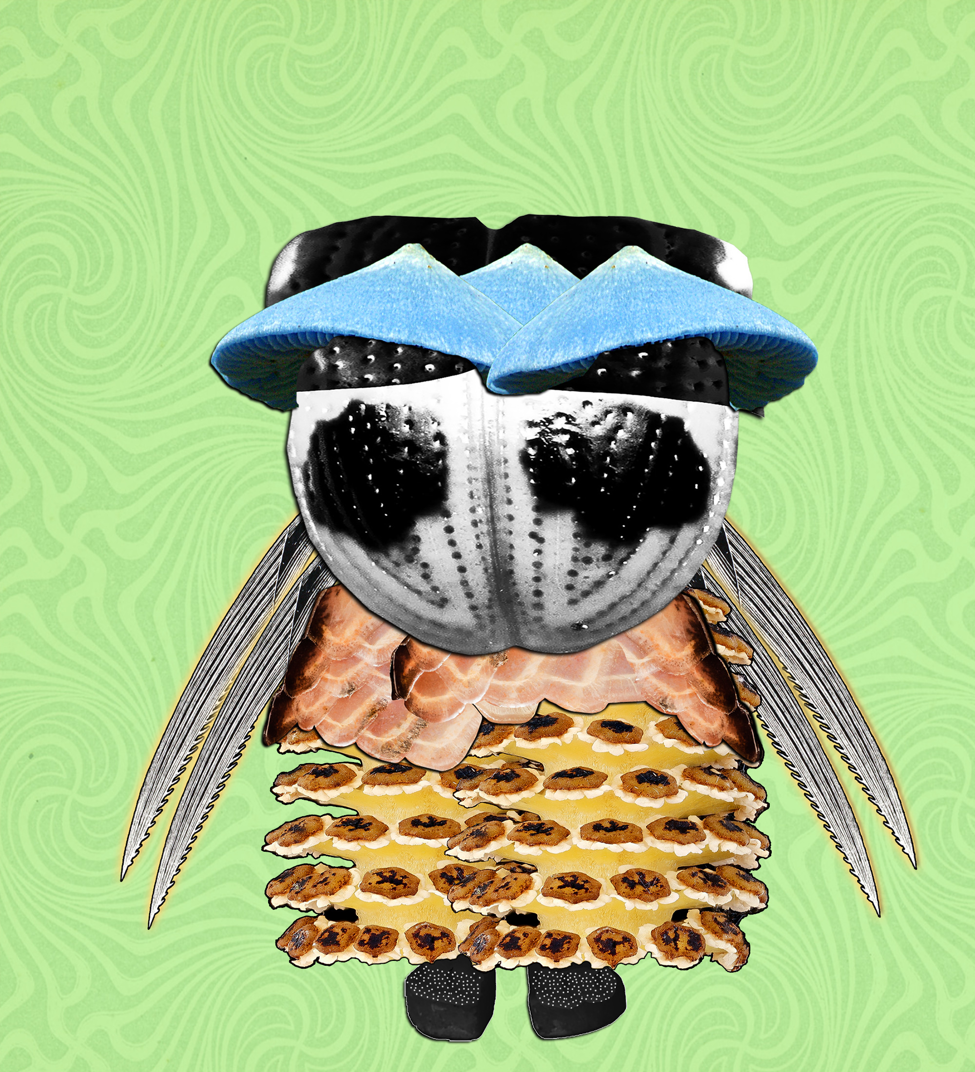 Hopium Warriors #376 NFT on Algorand