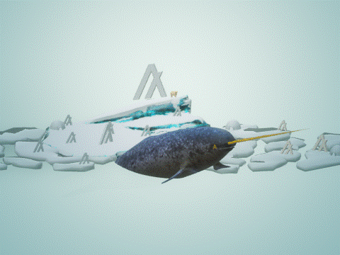 Algo Whales: Narwhal Edition