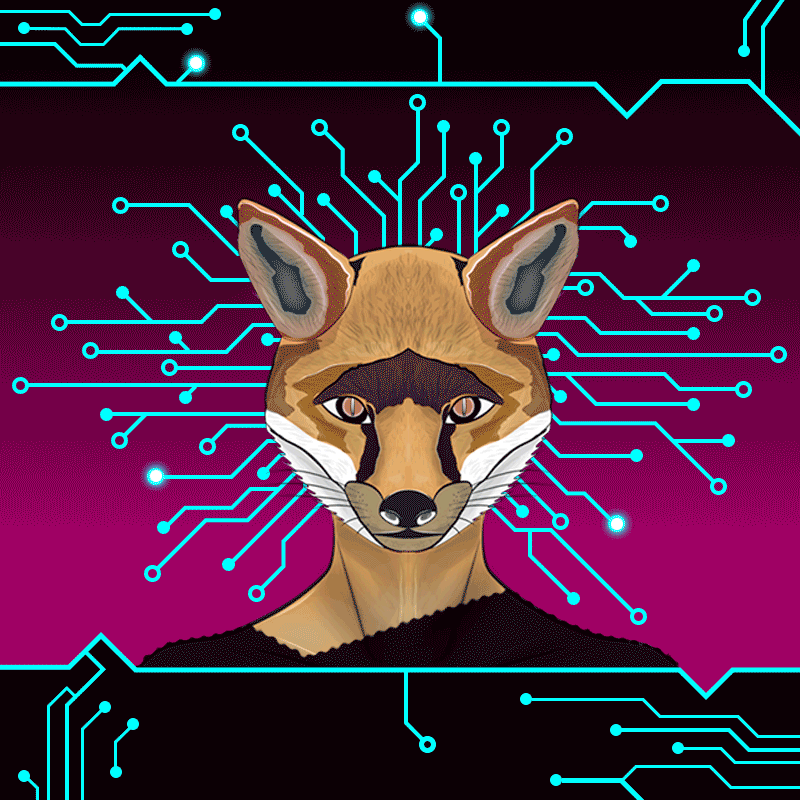 FOX #13