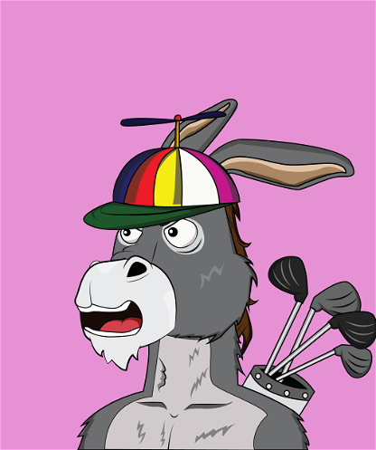 Donkey 2312
