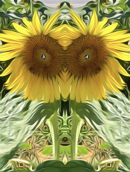 Sunflower Twins