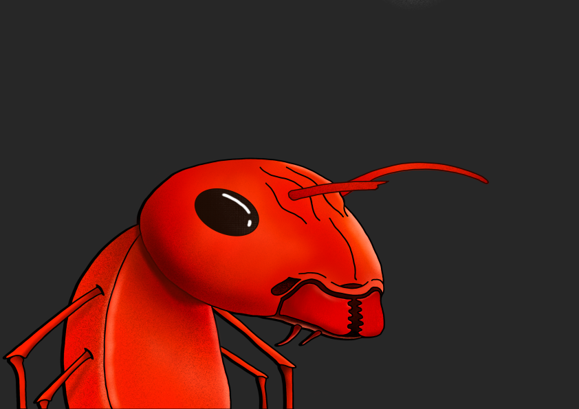 Algo Ant 508 NFT on Algorand