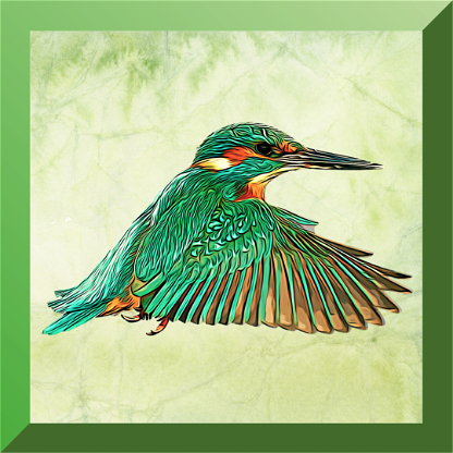 Common Kingfisher #2