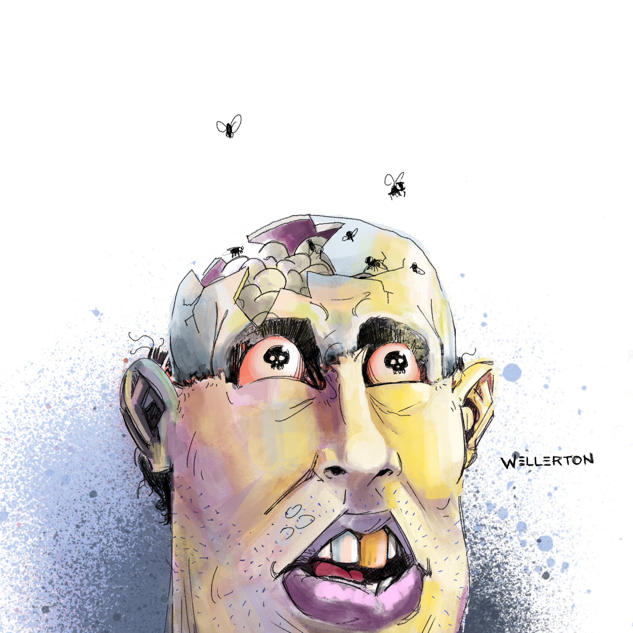 Brain Flies #24 NFT on Algorand