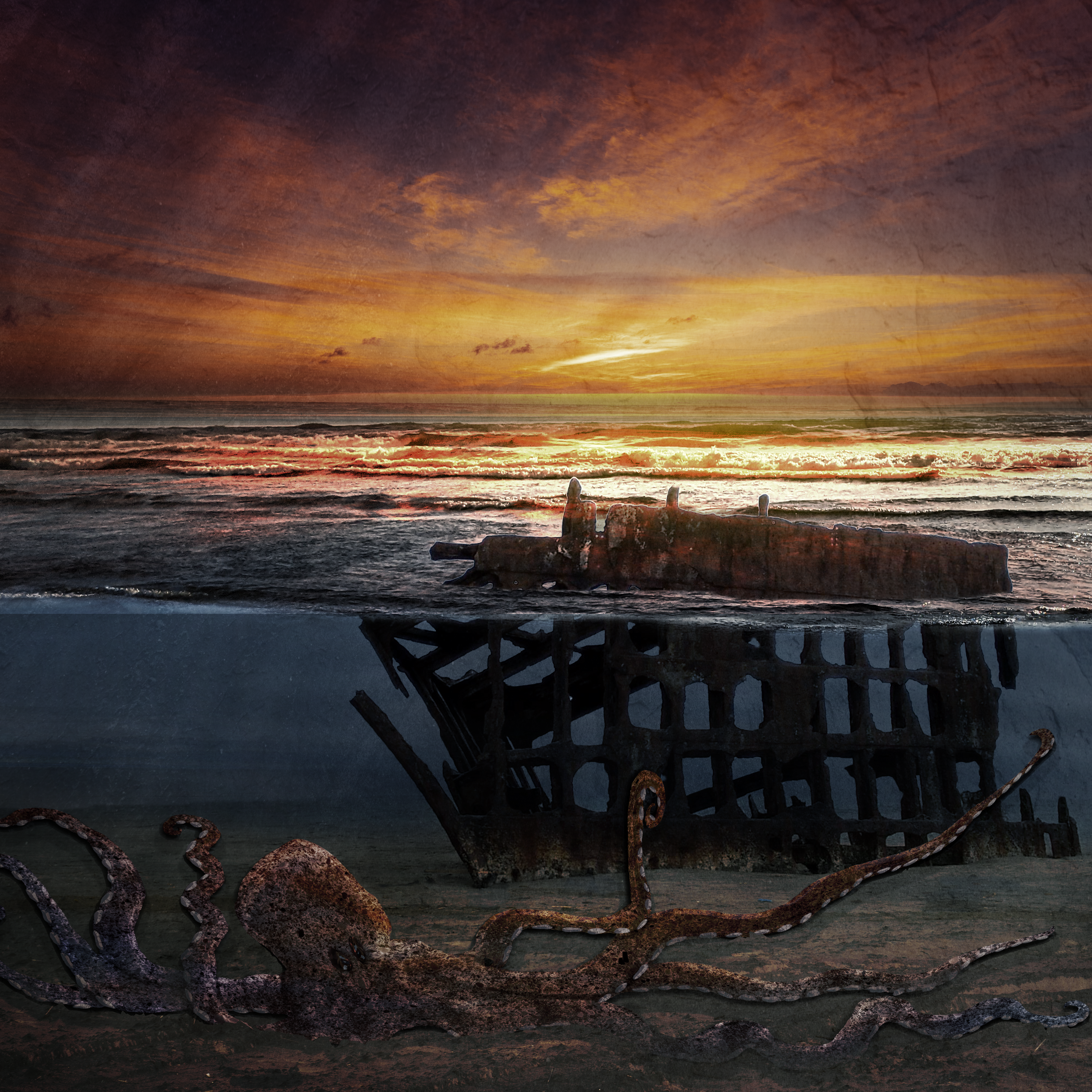 The Shipwreck NFT on Algorand