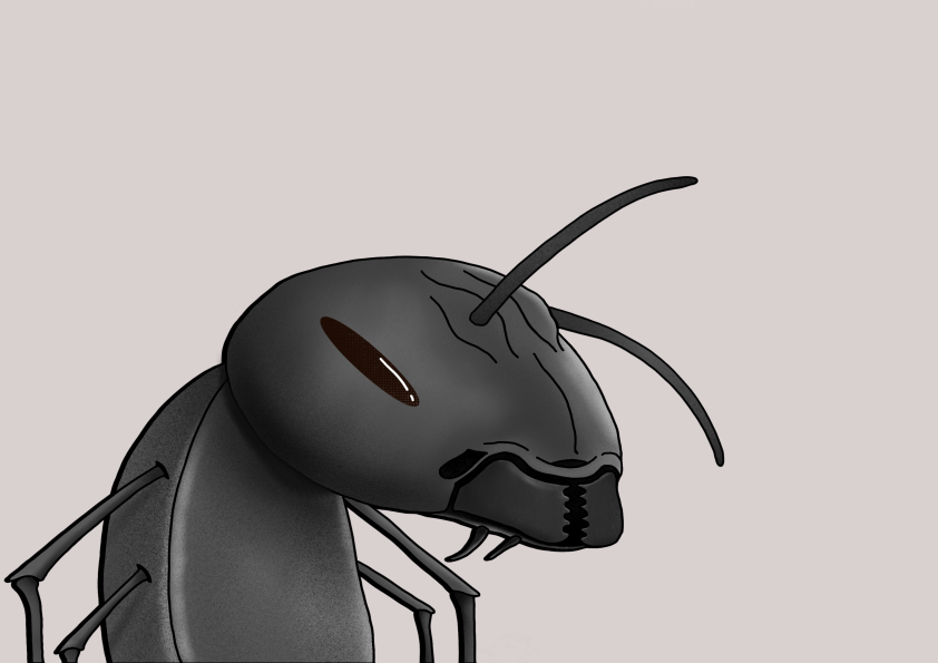 Algo Ant 76 NFT on Algorand