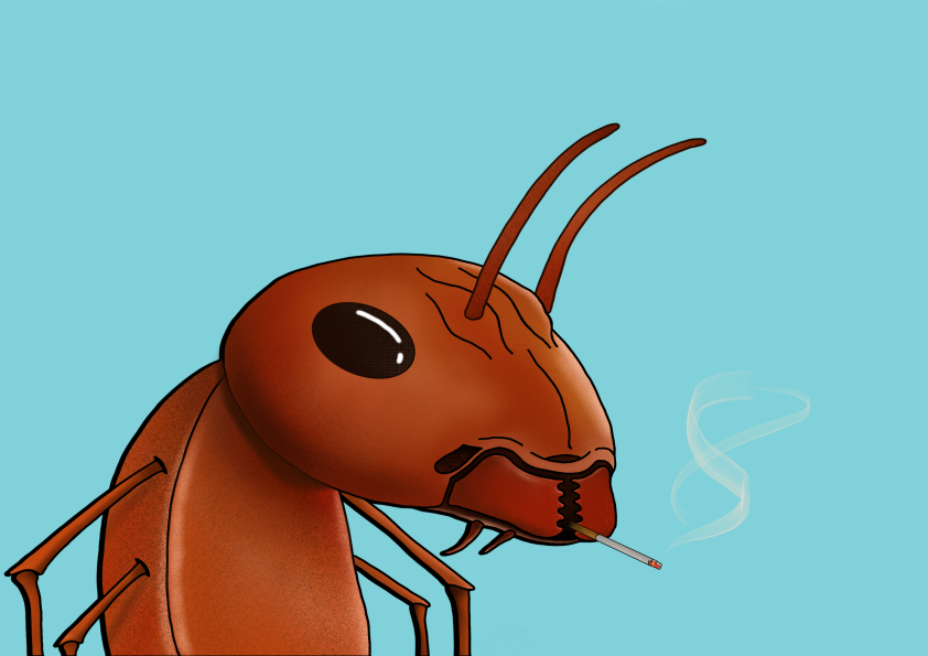 Algo Ant 575 NFT on Algorand