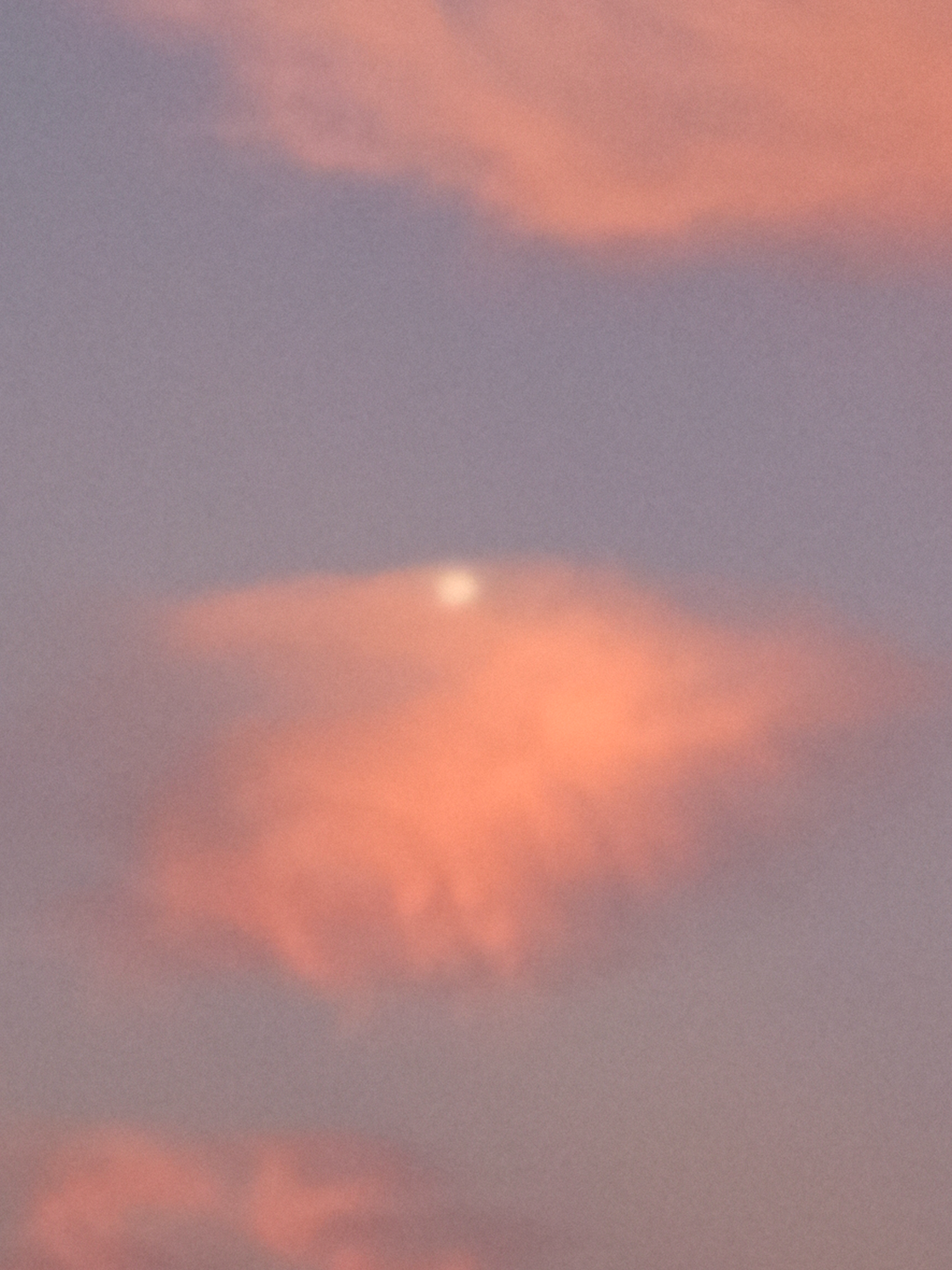 Moonshot NFT on Algorand
