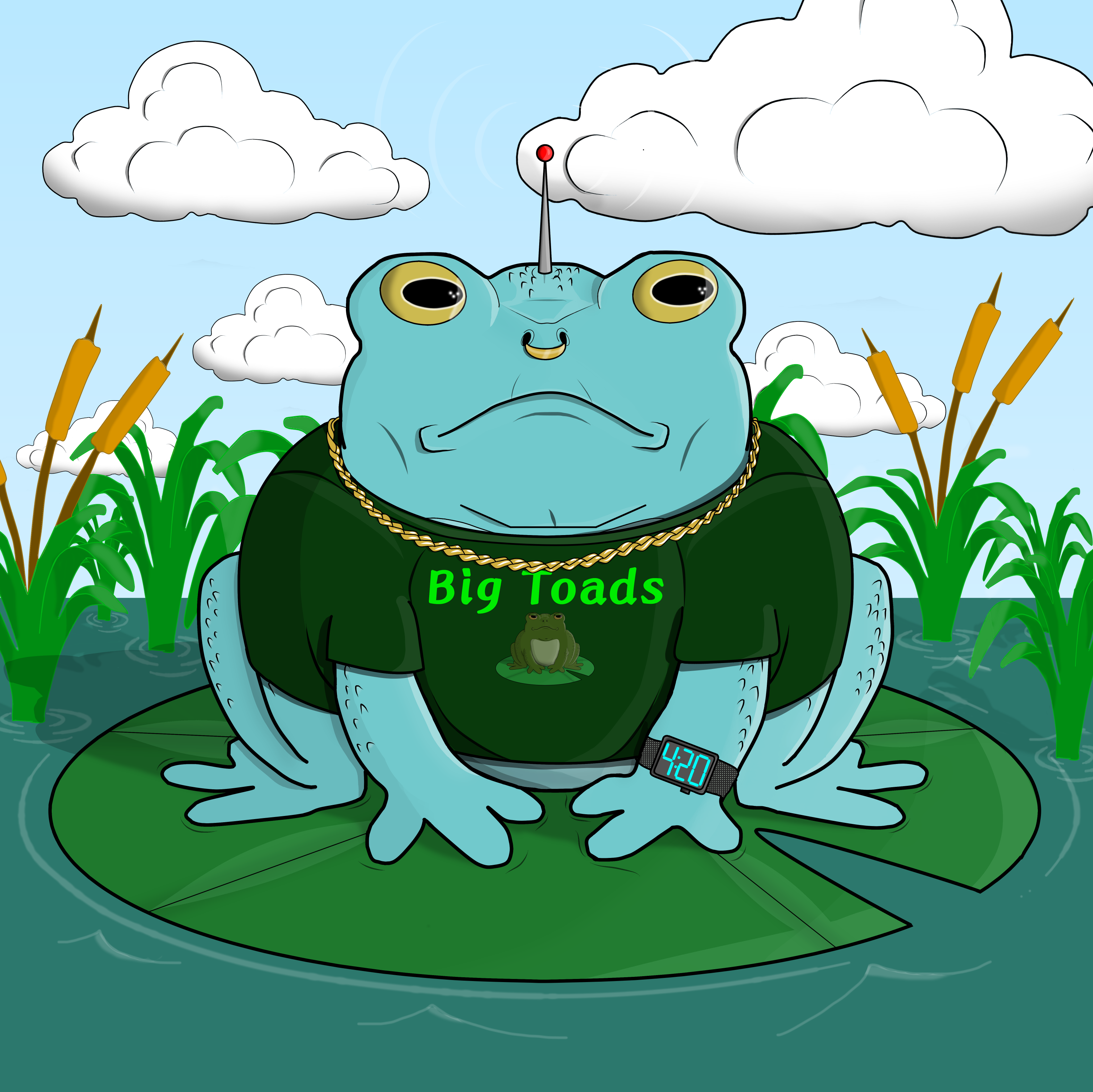 Big Toad 506 NFT on Algorand