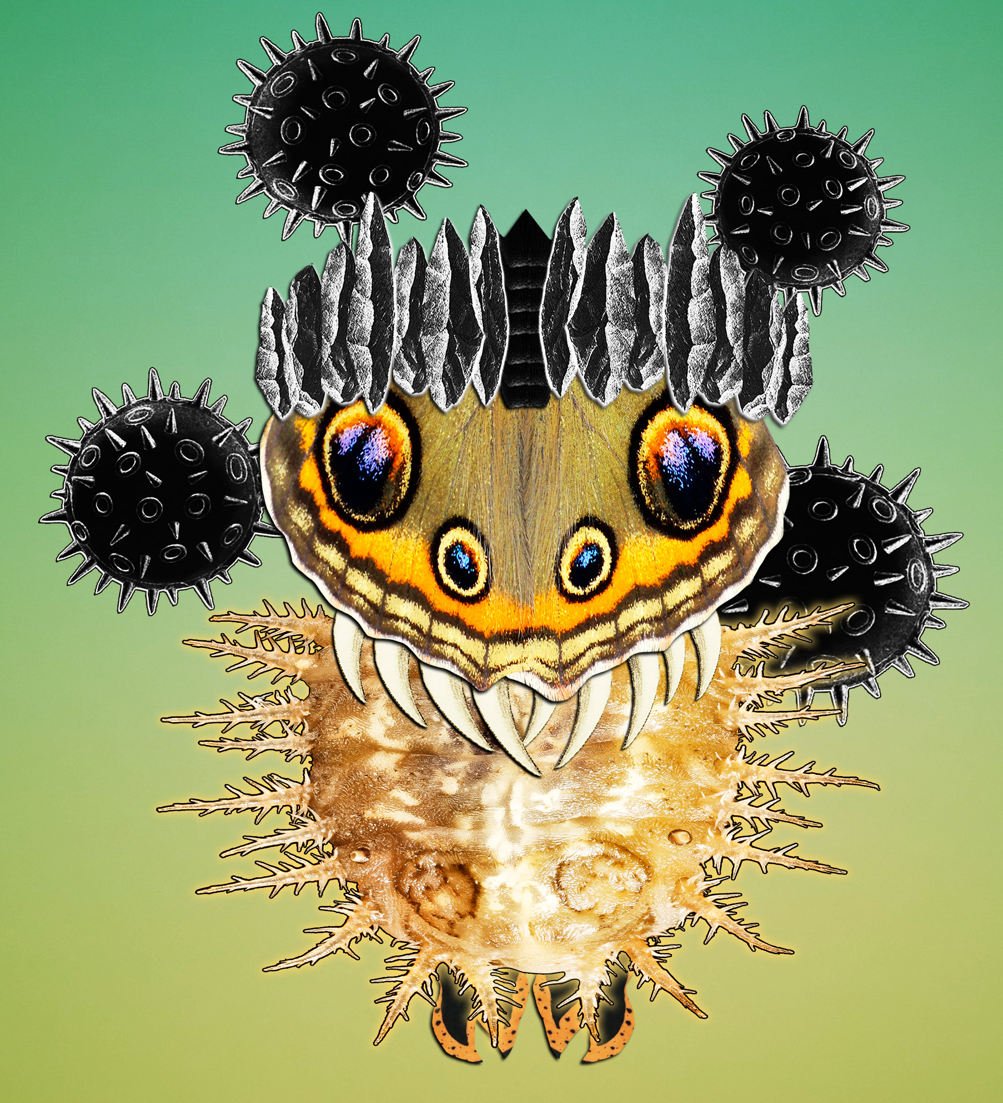 Hopium Warriors #093 NFT on Algorand