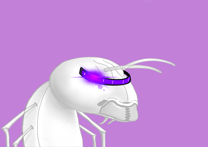 Algo Ant 407 NFT on Algorand