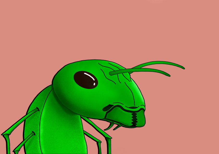 Algo Ant 272 NFT on Algorand