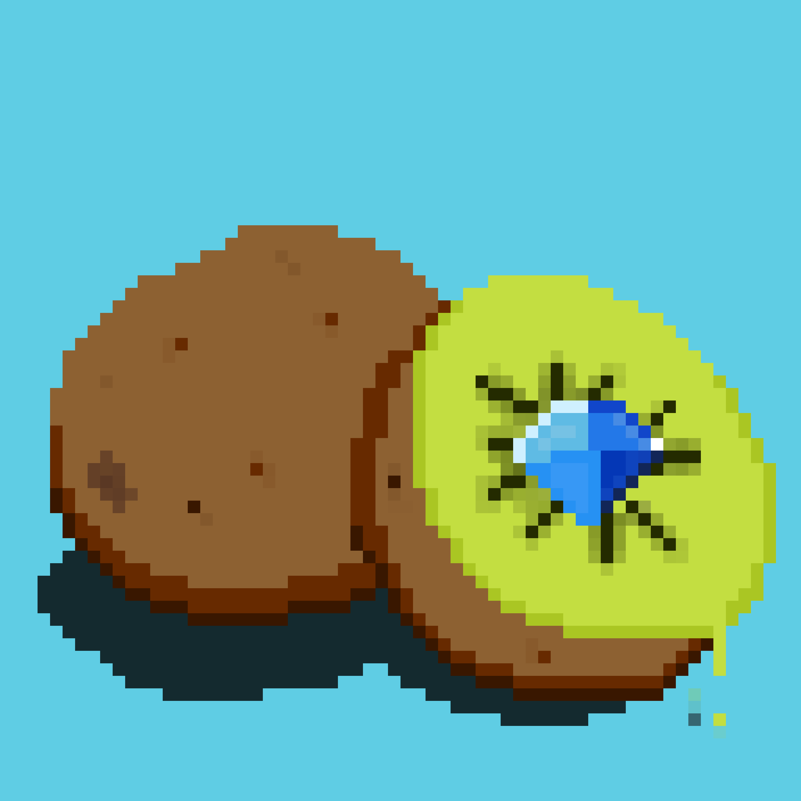 Kiwi #3 NFT on Algorand