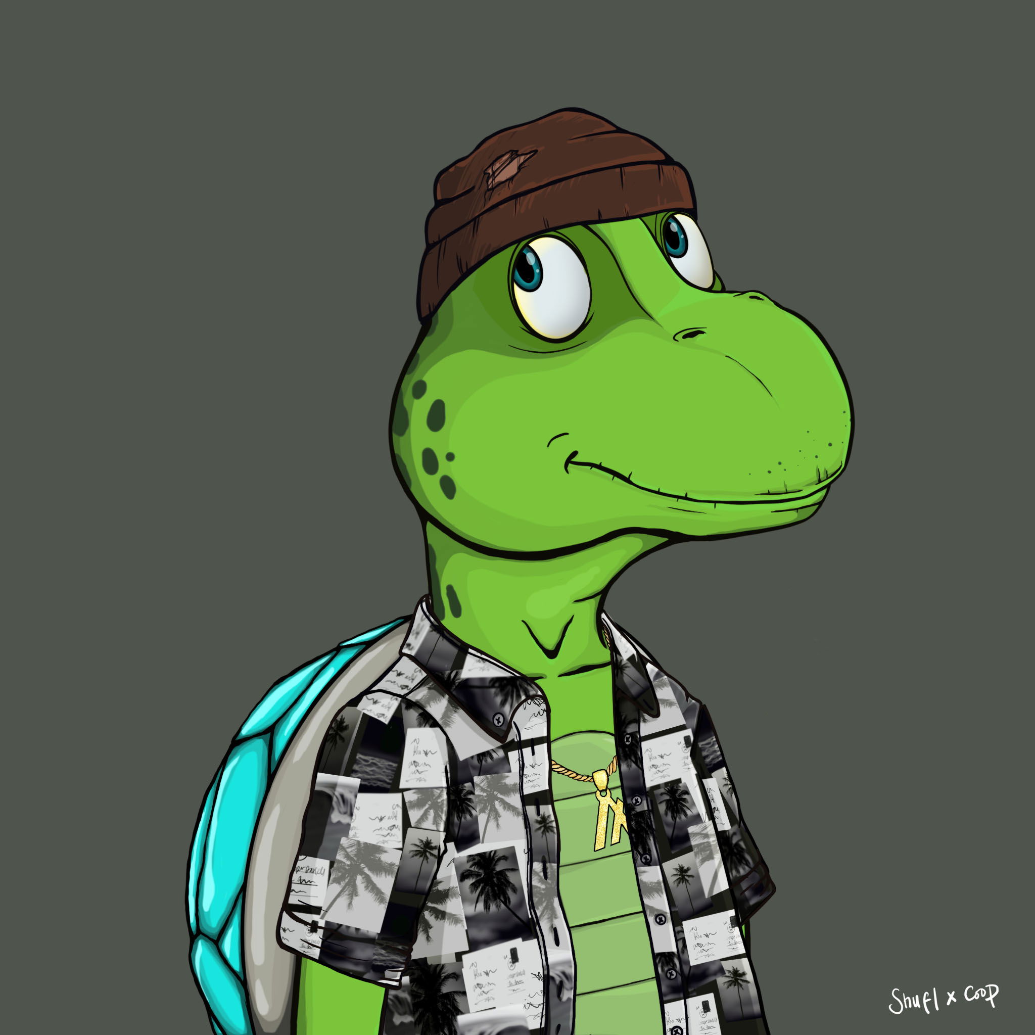 Coopa Troopa #10 icon