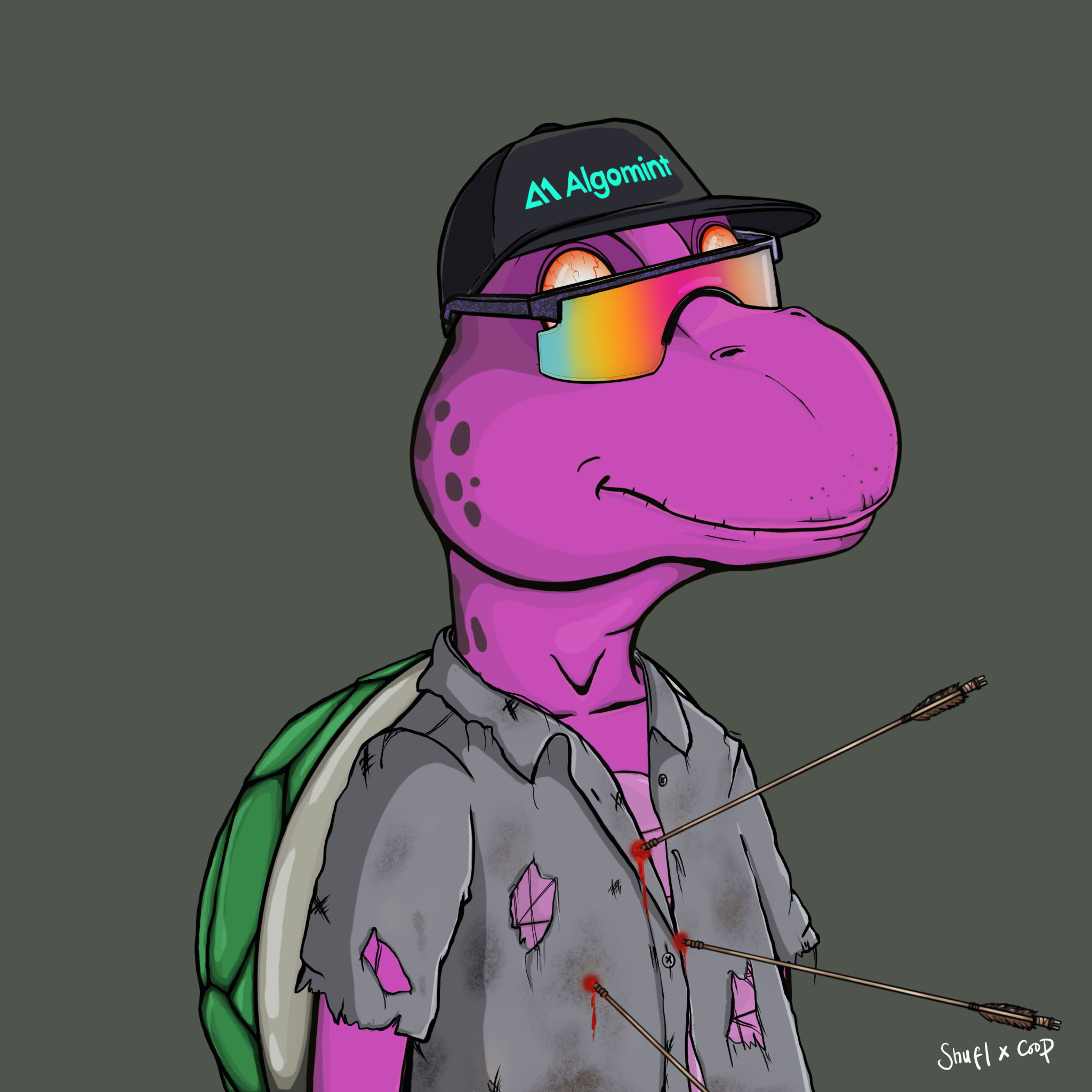 Coopa Troopa #1008 NFT on Algorand