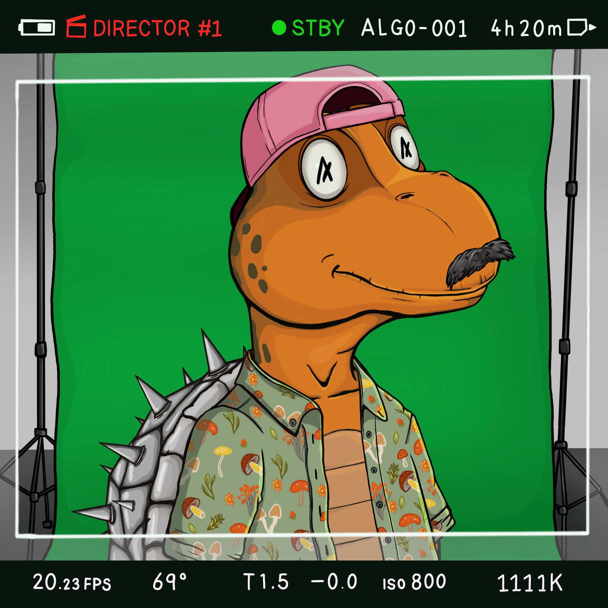 Coopa Troopa #1024 NFT on Algorand