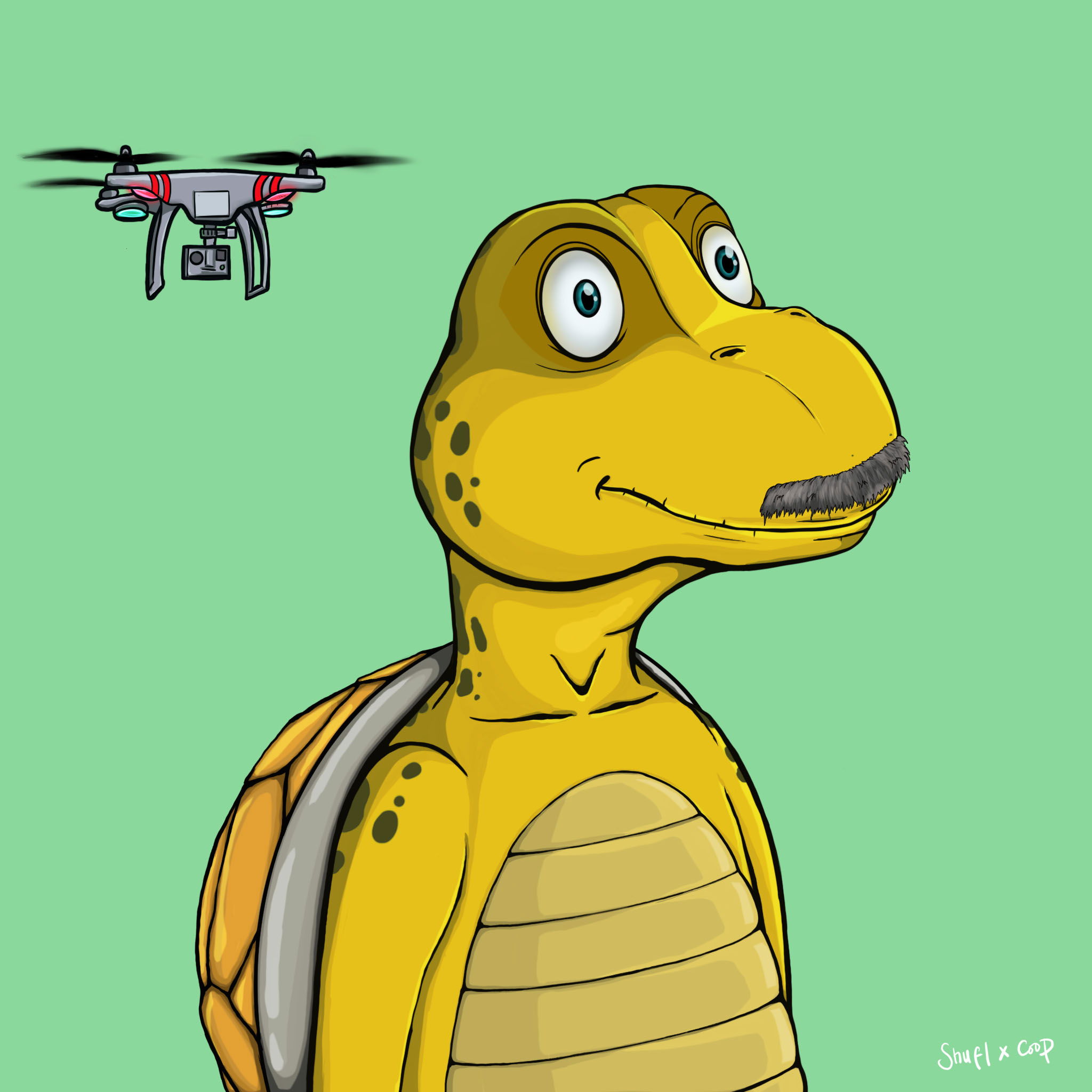 Coopa Troopa #1029 NFT on Algorand