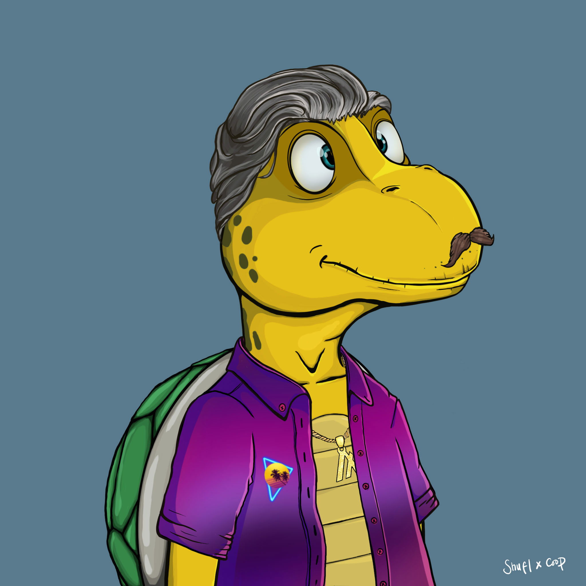 Coopa Troopa #1034 NFT on Algorand