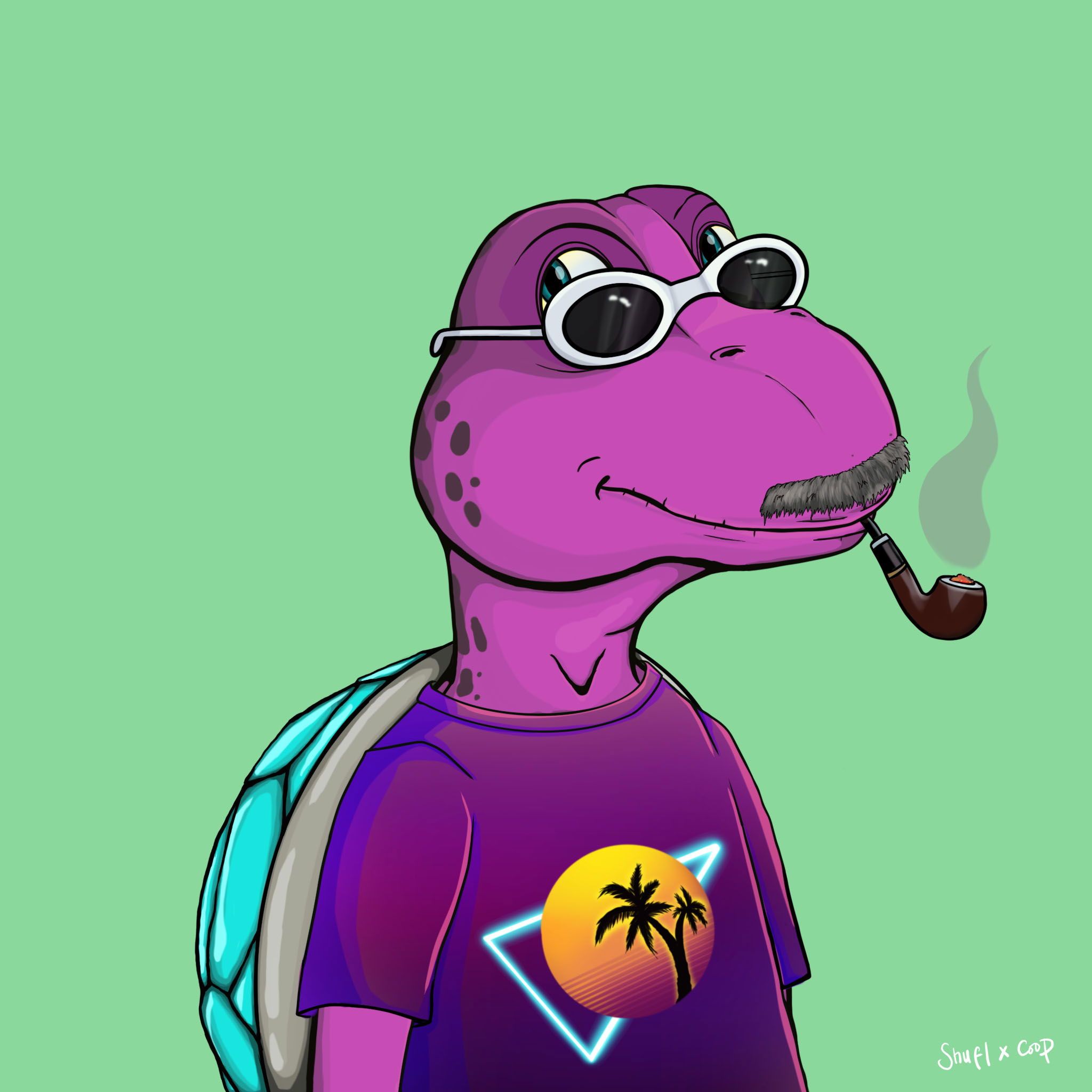 Coopa Troopa #1036 NFT on Algorand