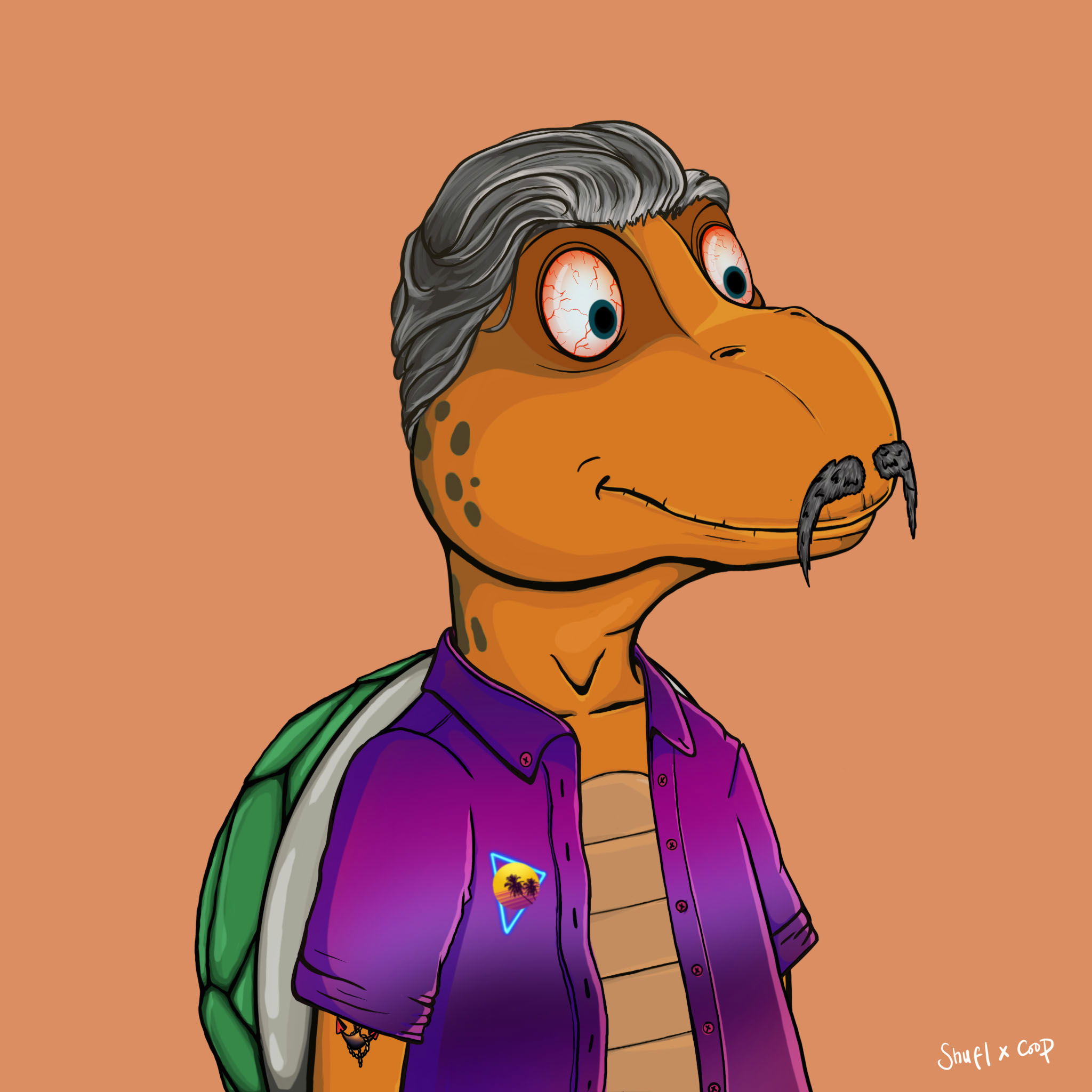 Coopa Troopa #1037 NFT on Algorand