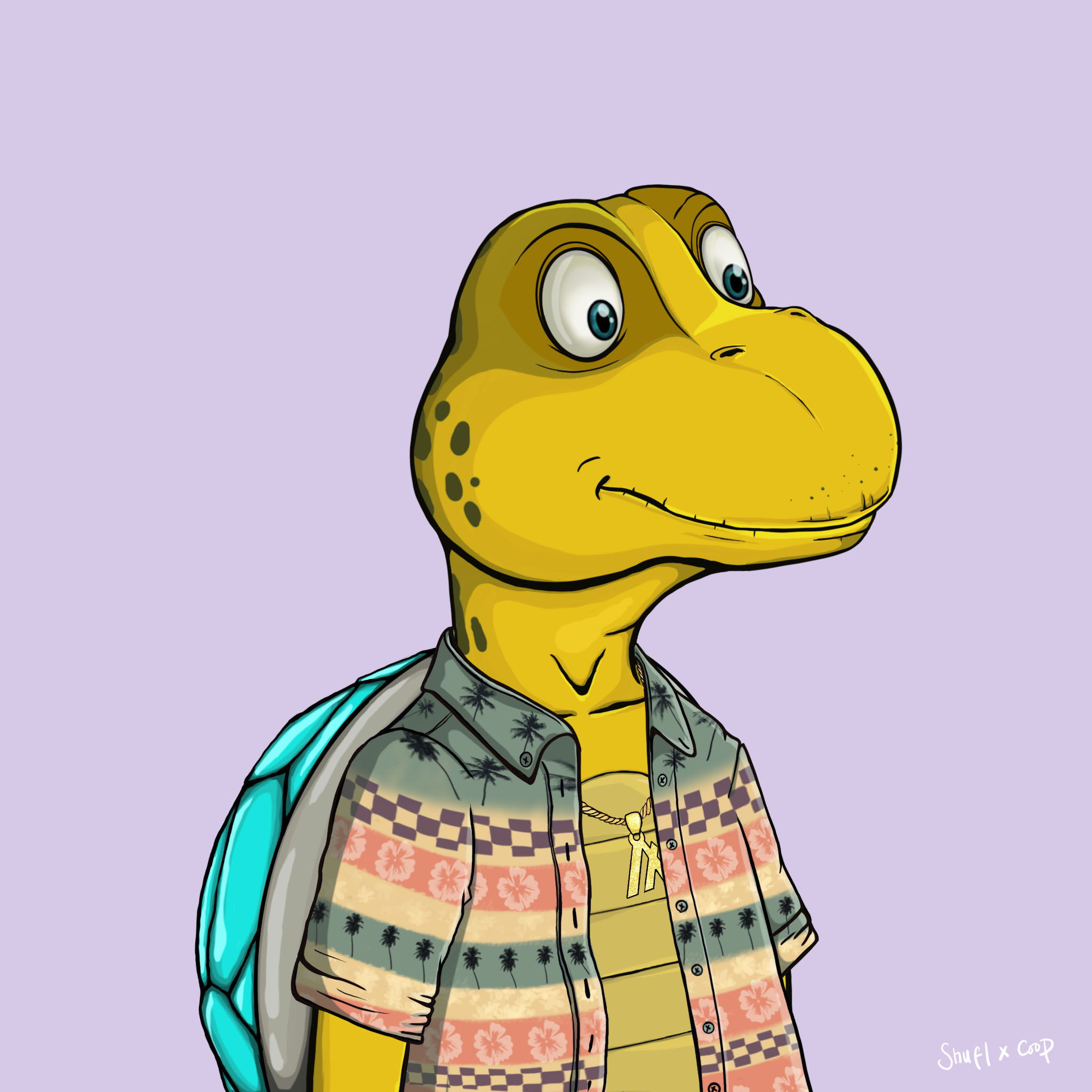 Coopa Troopa #1041 NFT on Algorand