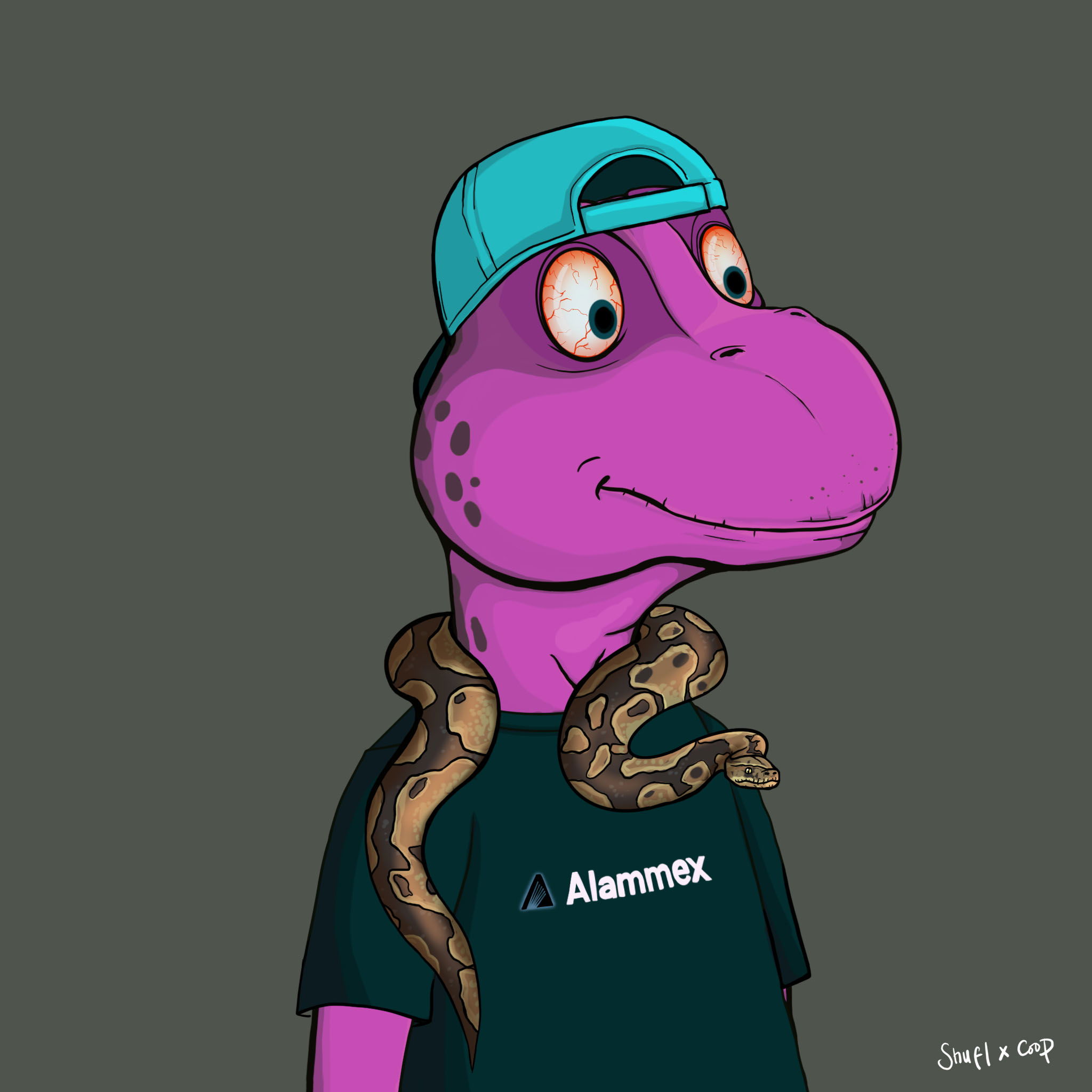 Coopa Troopa #1046 NFT on Algorand