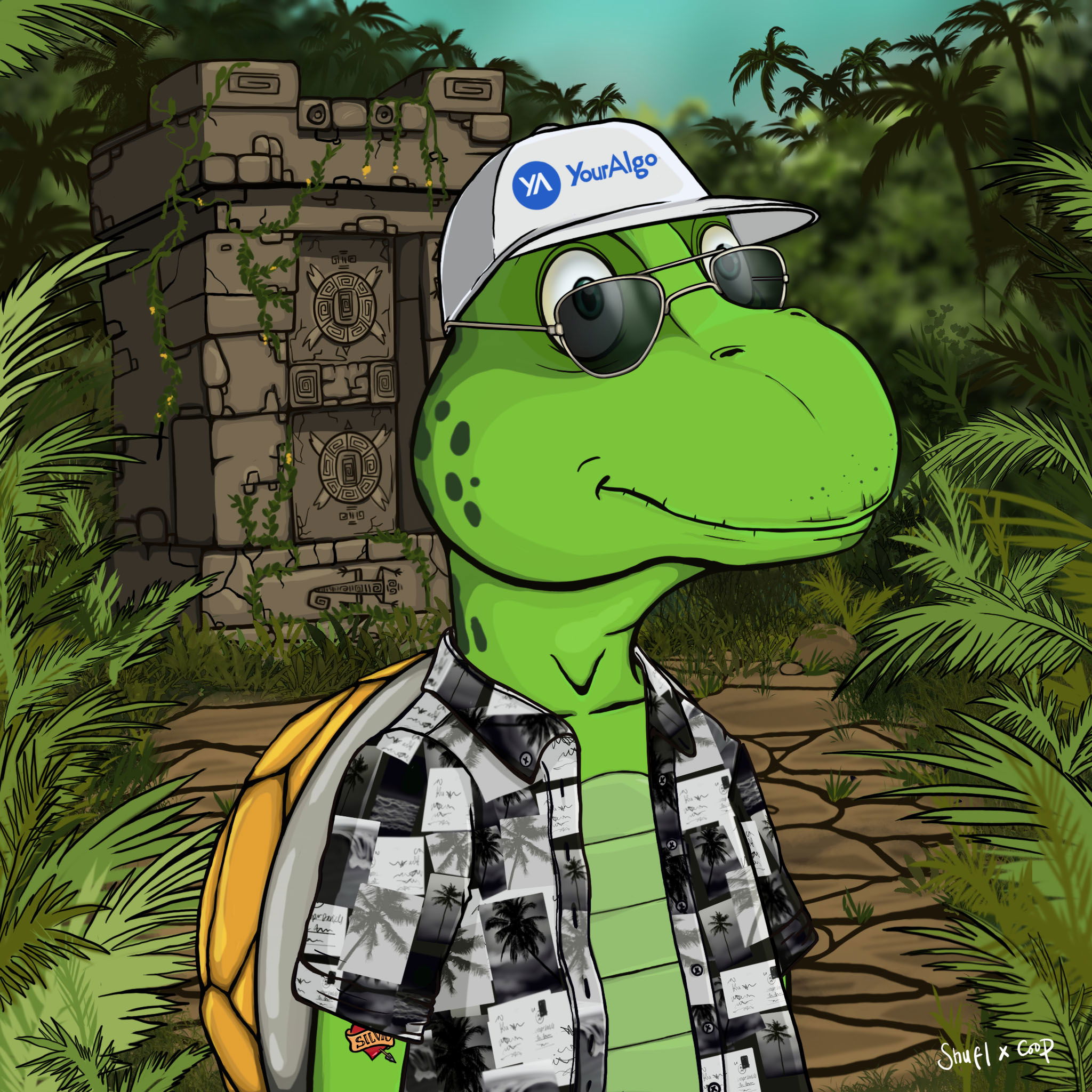 Coopa Troopa #1049 NFT on Algorand