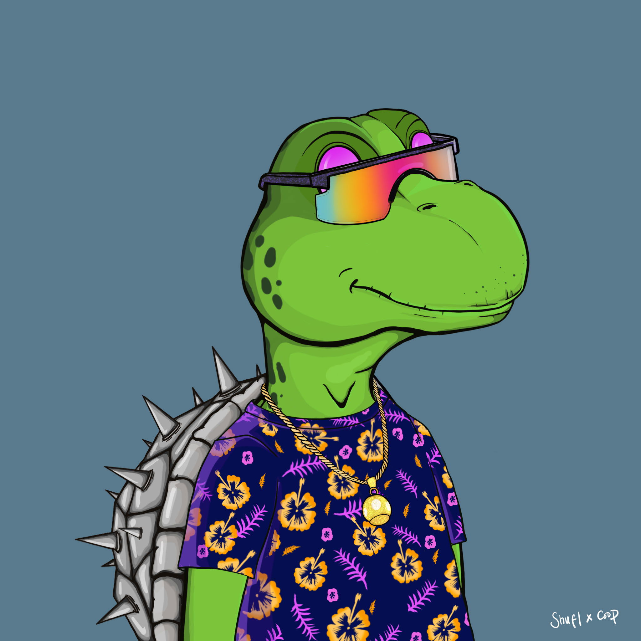 Coopa Troopa #1062 NFT on Algorand