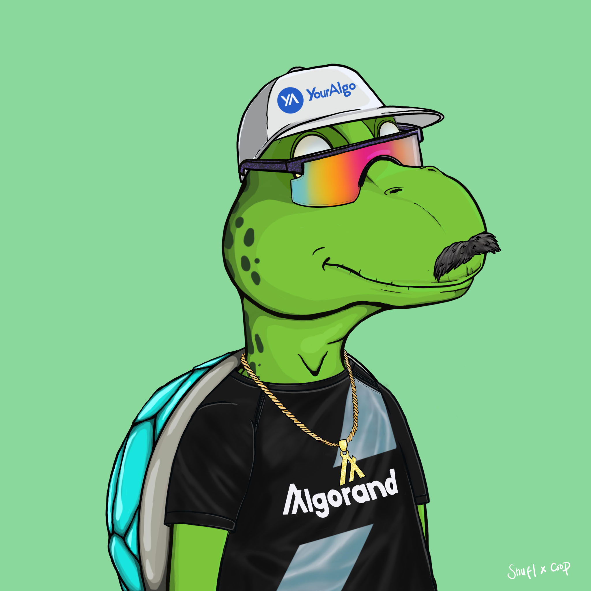 Coopa Troopa #1064 NFT on Algorand