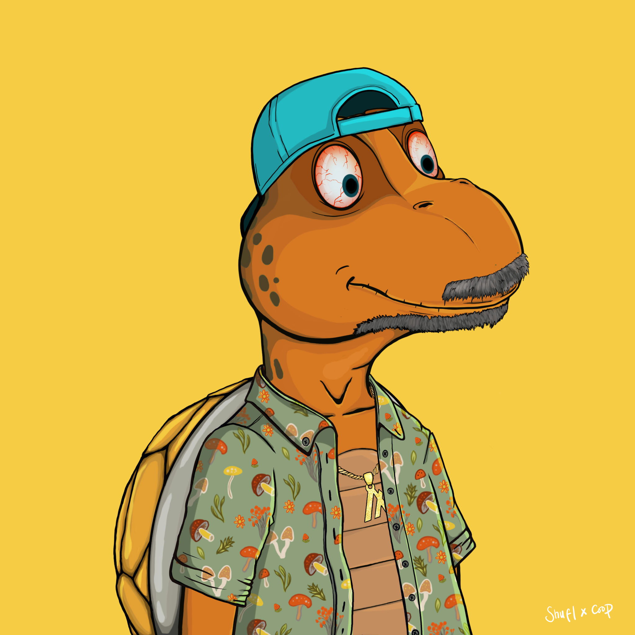 Coopa Troopa #1072 NFT on Algorand