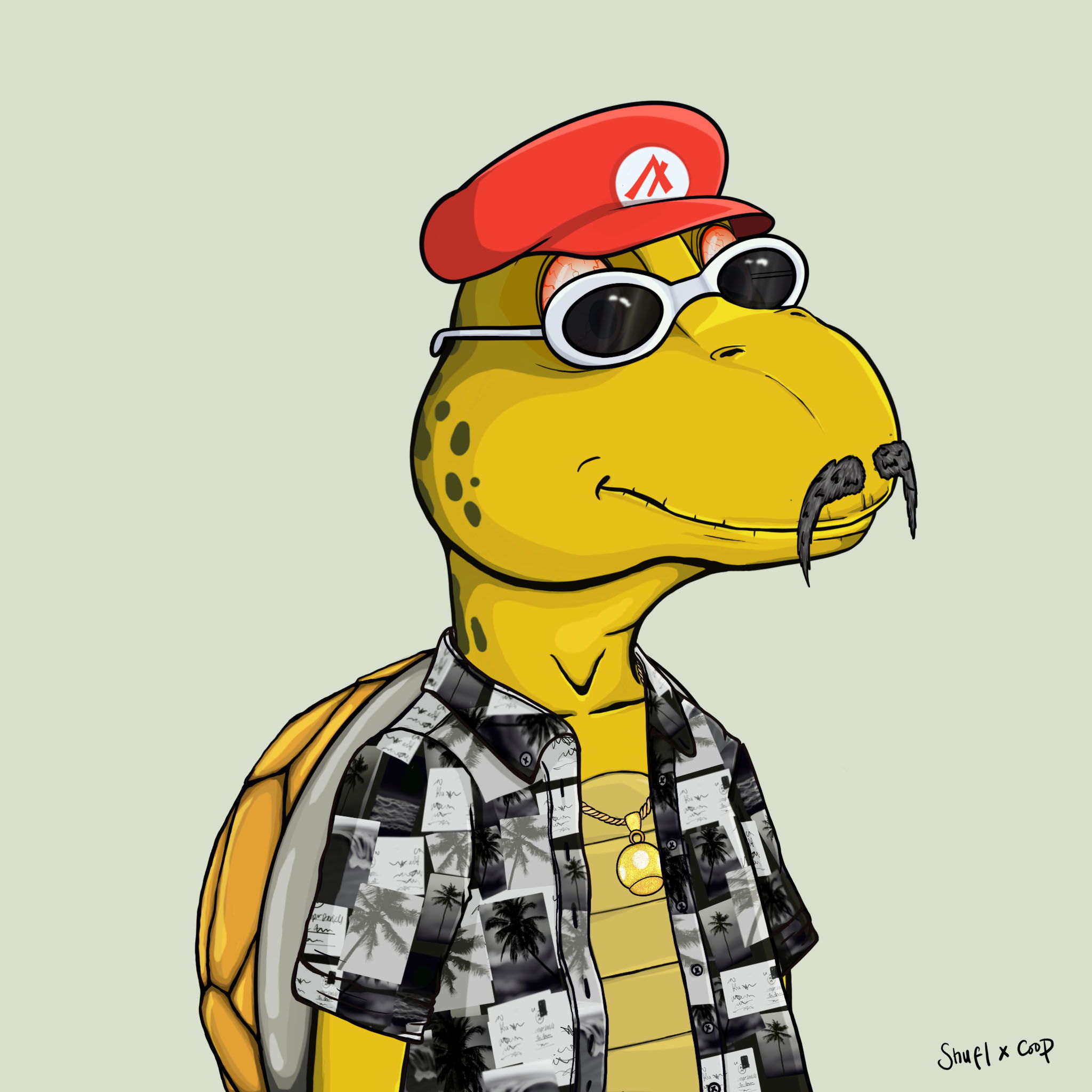 Coopa Troopa #1075 NFT on Algorand