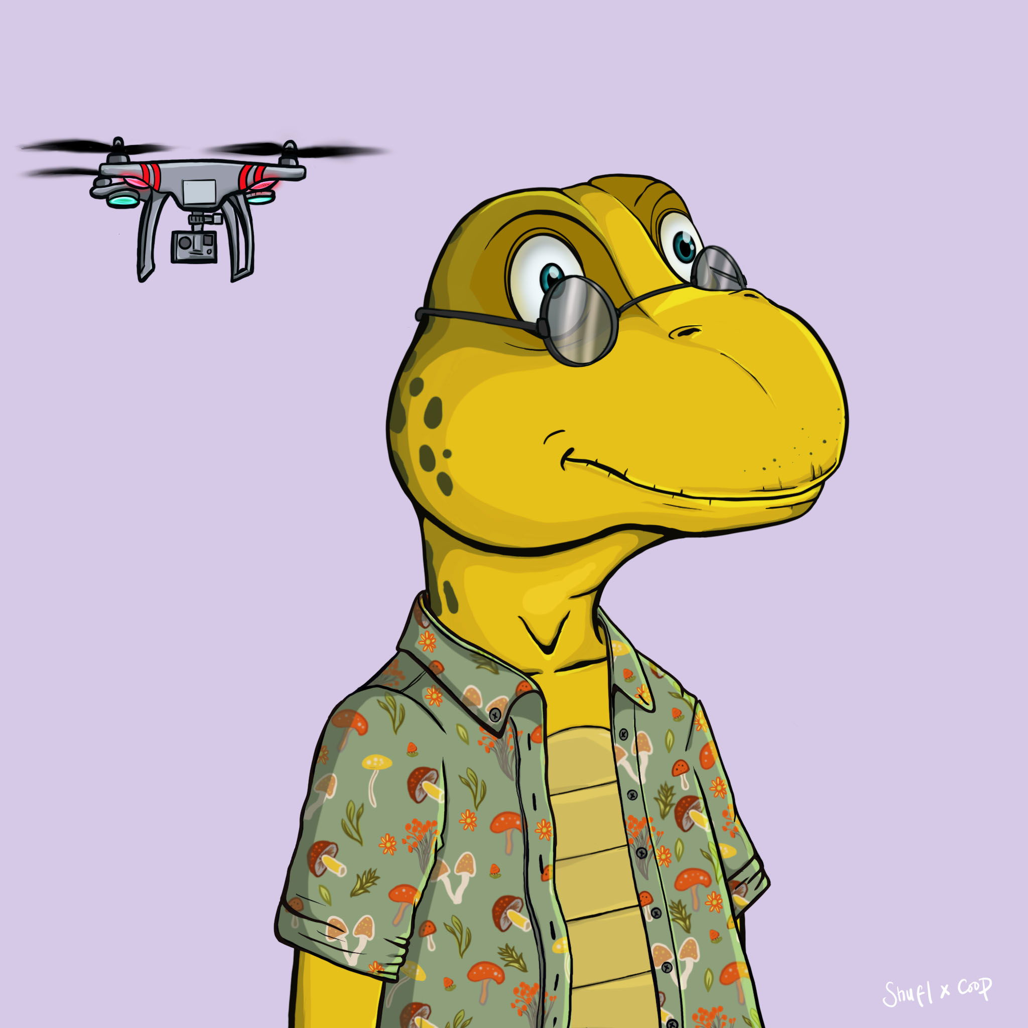 Coopa Troopa #1078 NFT on Algorand