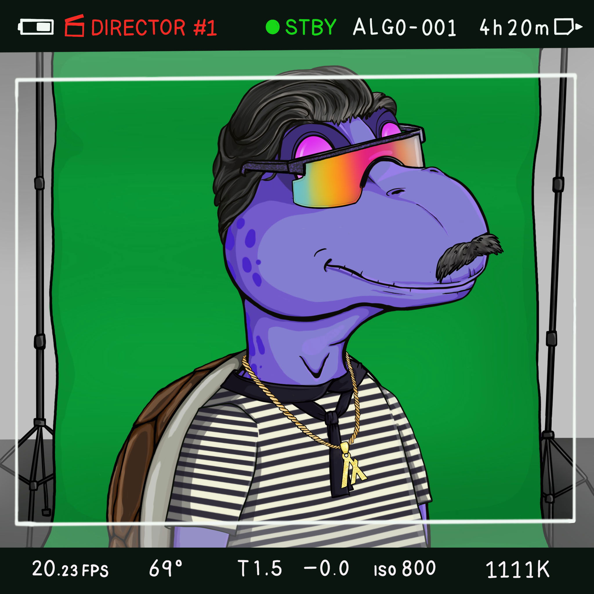 Coopa Troopa #1079 NFT on Algorand