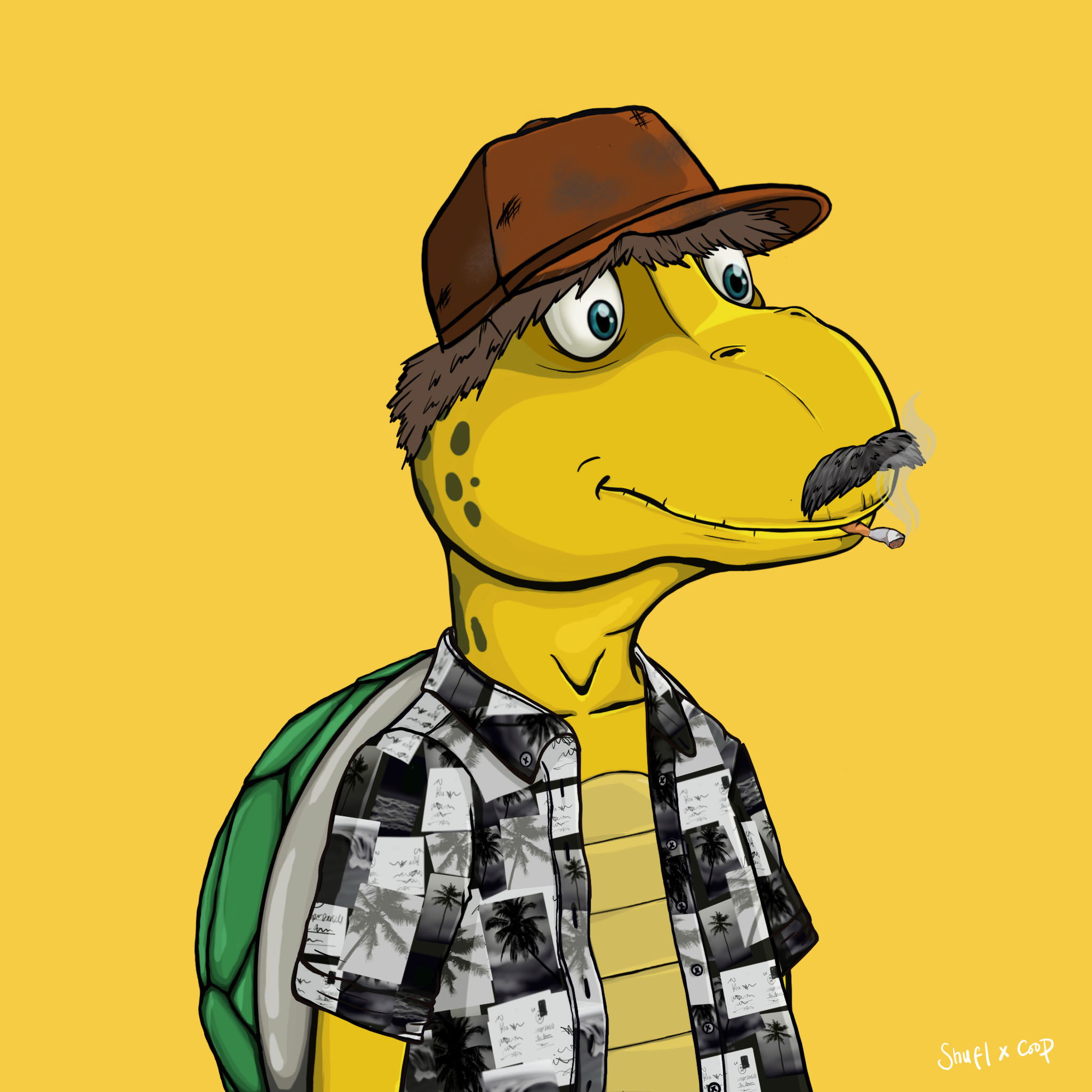 Coopa Troopa #1088 NFT on Algorand