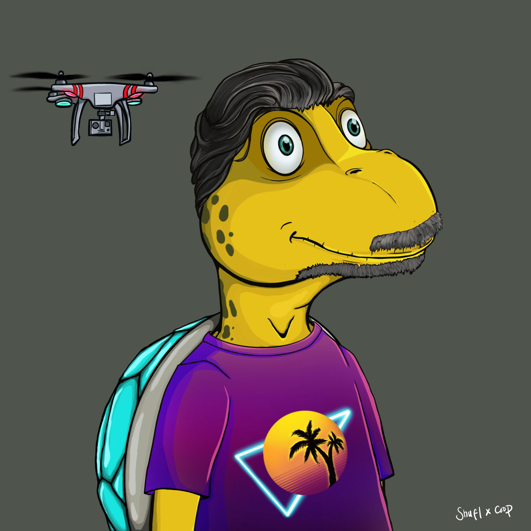 Coopa Troopa #1089 NFT on Algorand