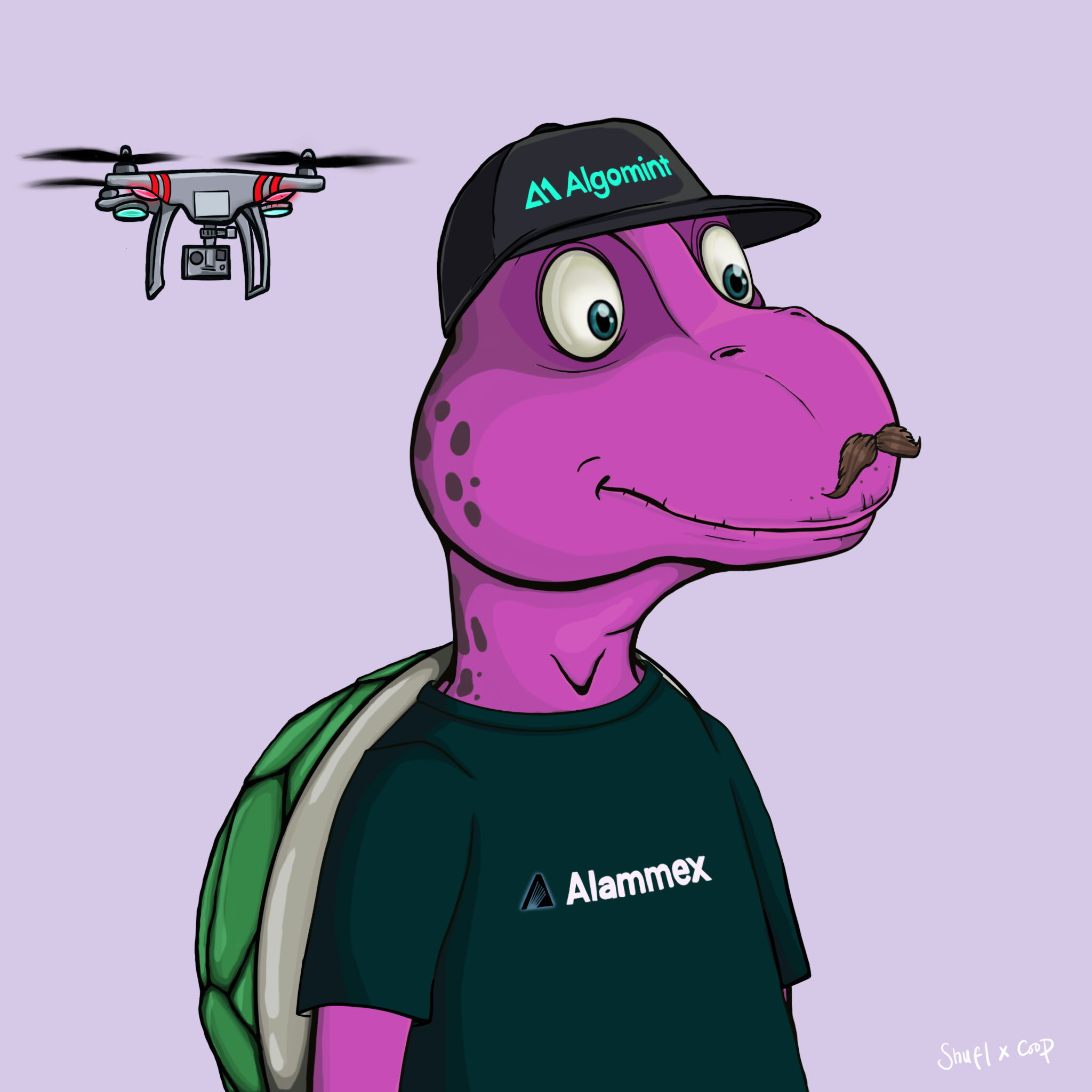 Coopa Troopa #1095 NFT on Algorand