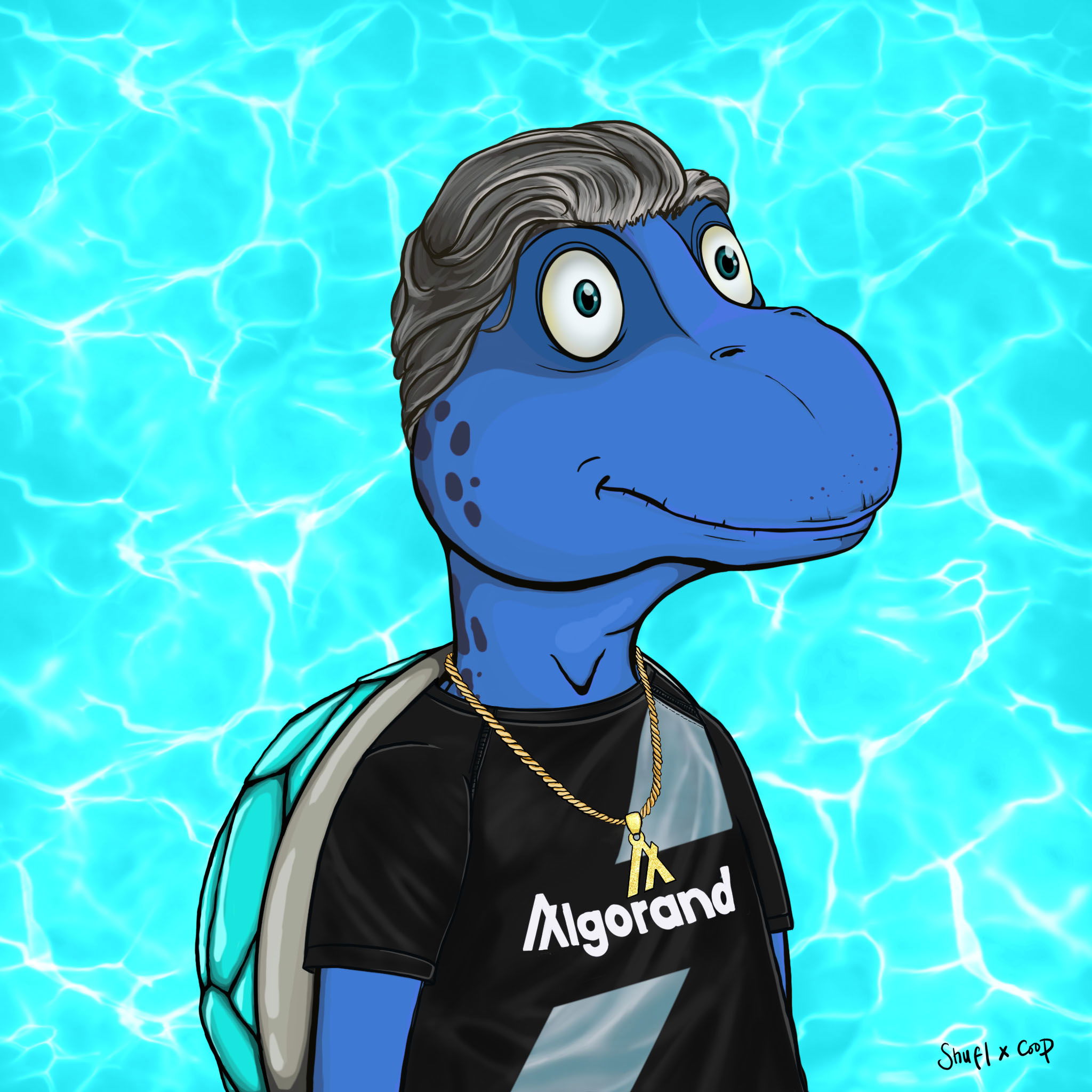 Coopa Troopa #1102 NFT on Algorand