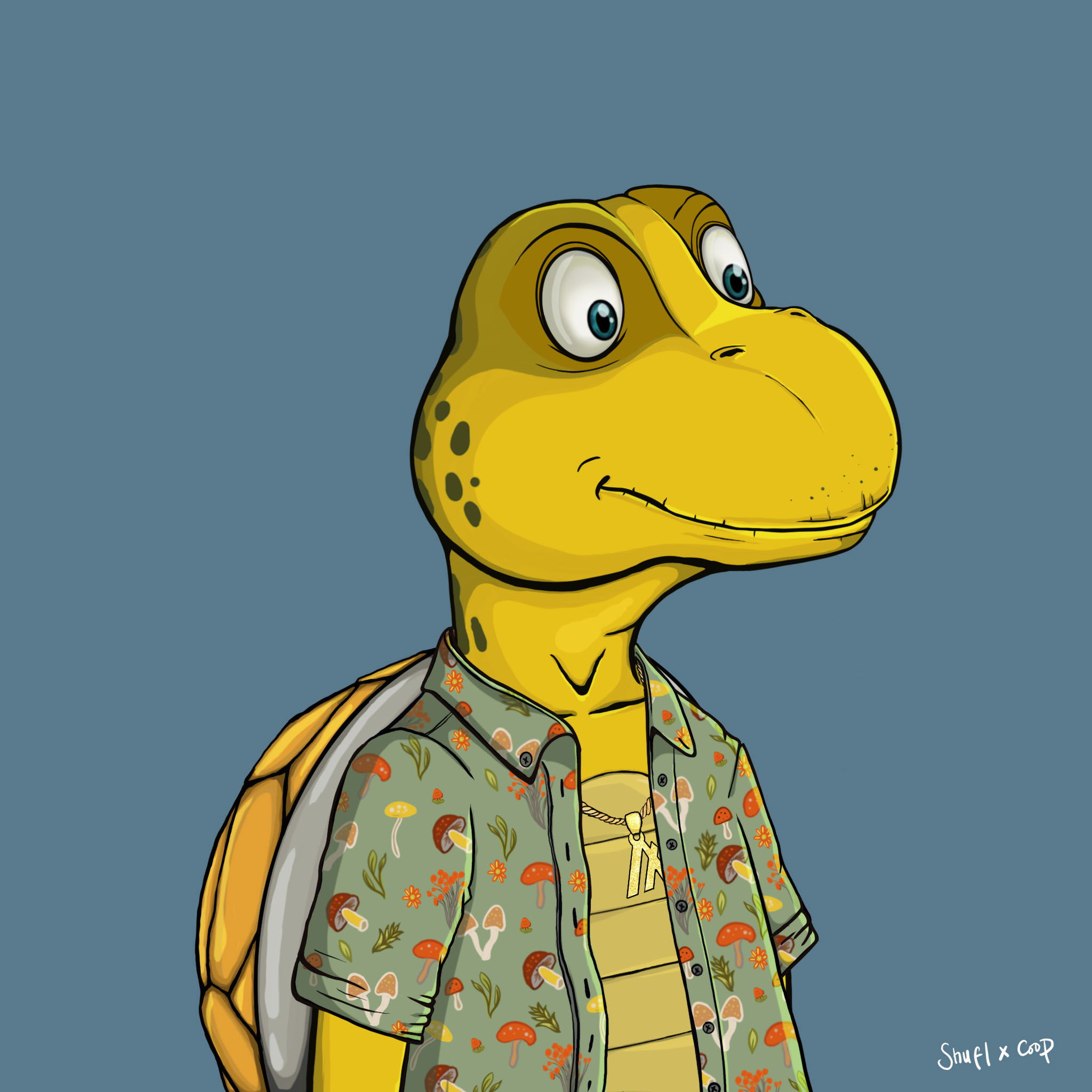 Coopa Troopa #1106 NFT on Algorand