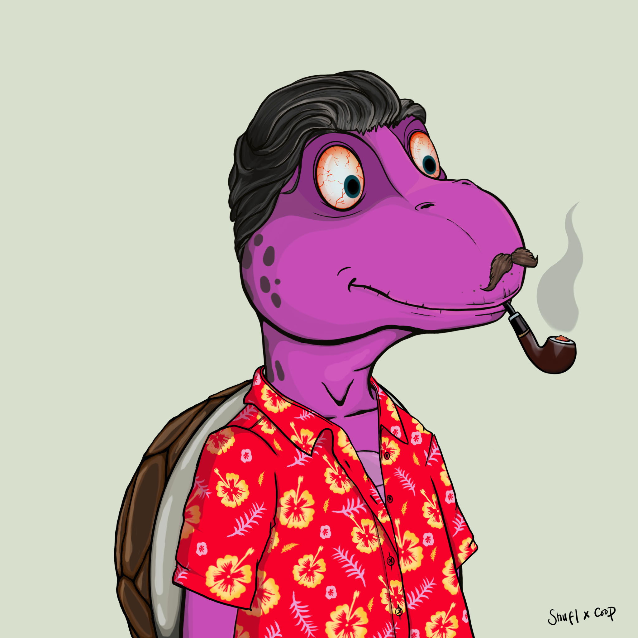 Coopa Troopa #1115 NFT on Algorand