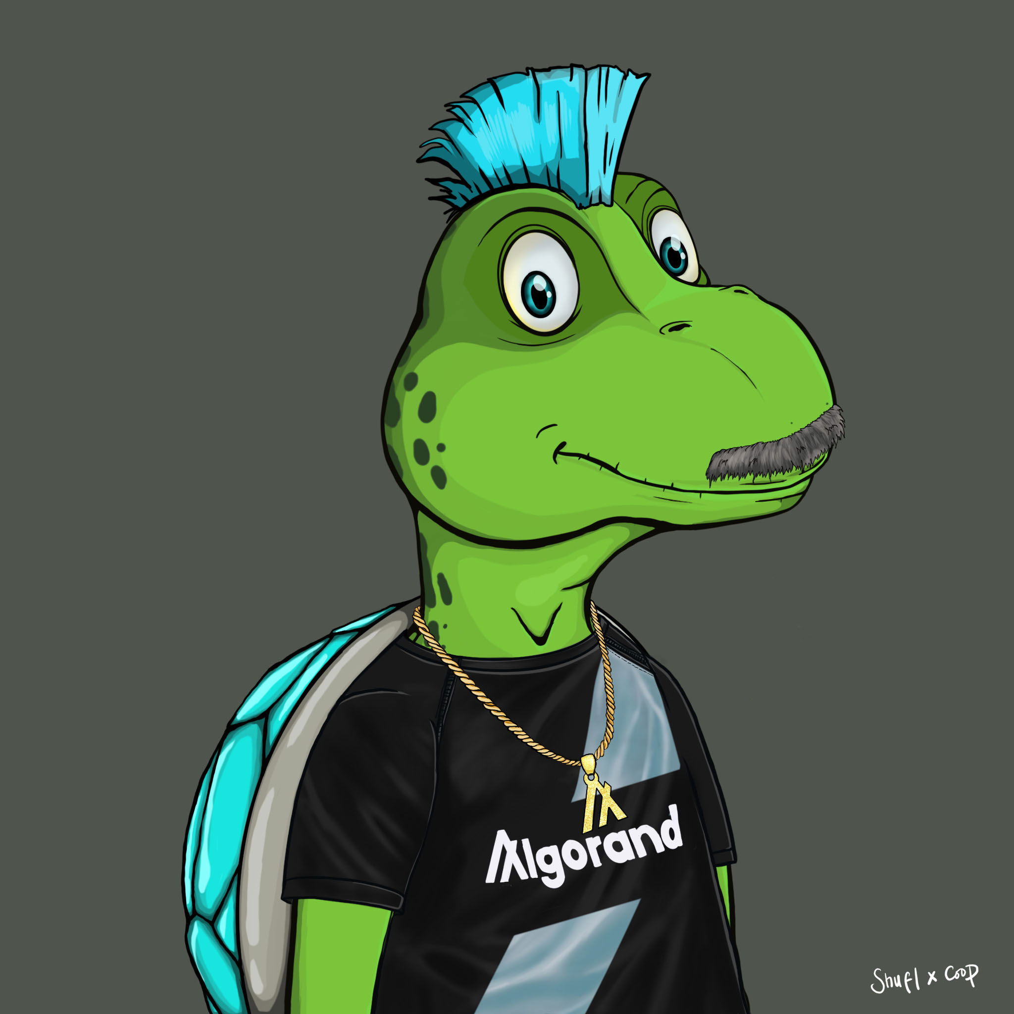 Coopa Troopa #1129 NFT on Algorand