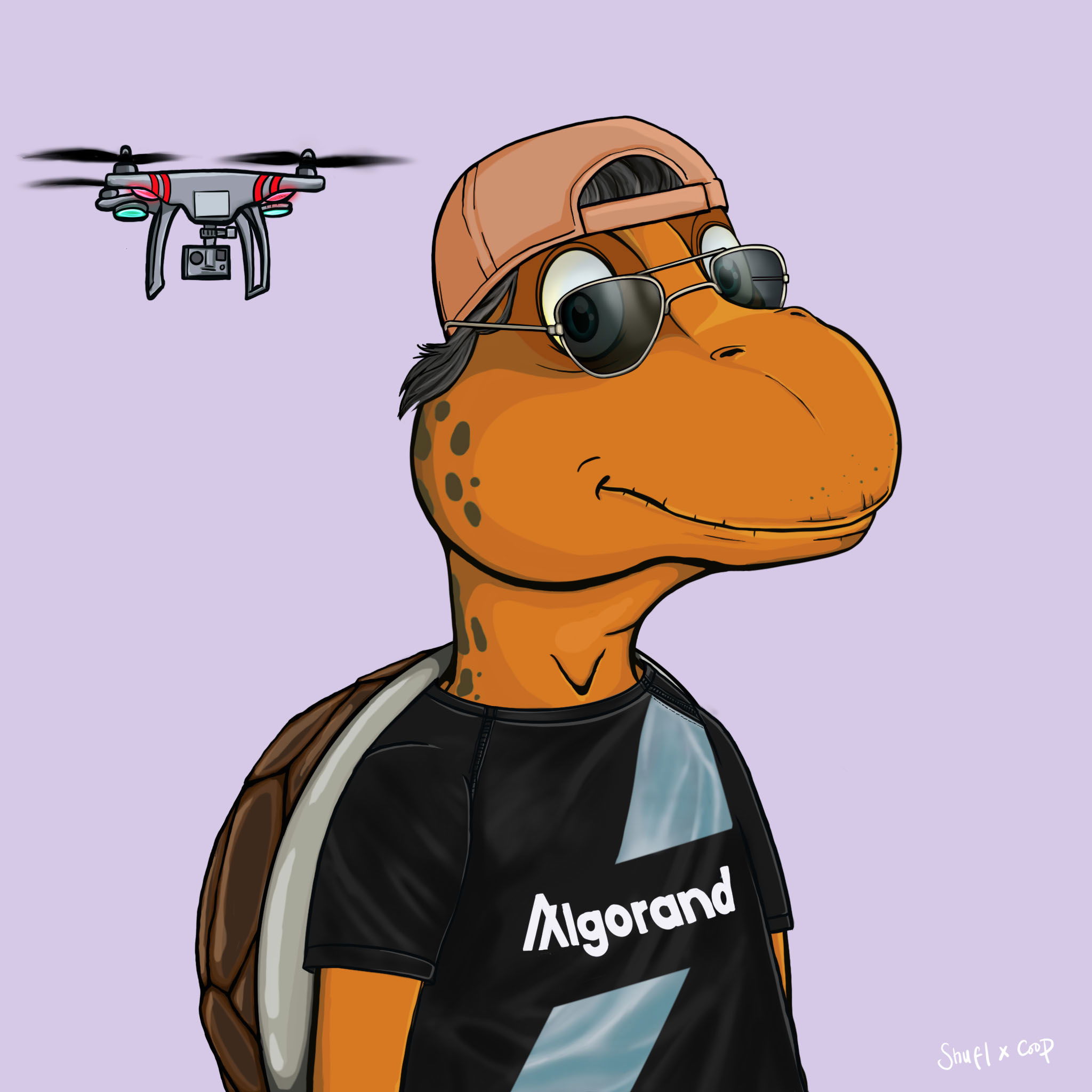 Coopa Troopa #113 NFT on Algorand