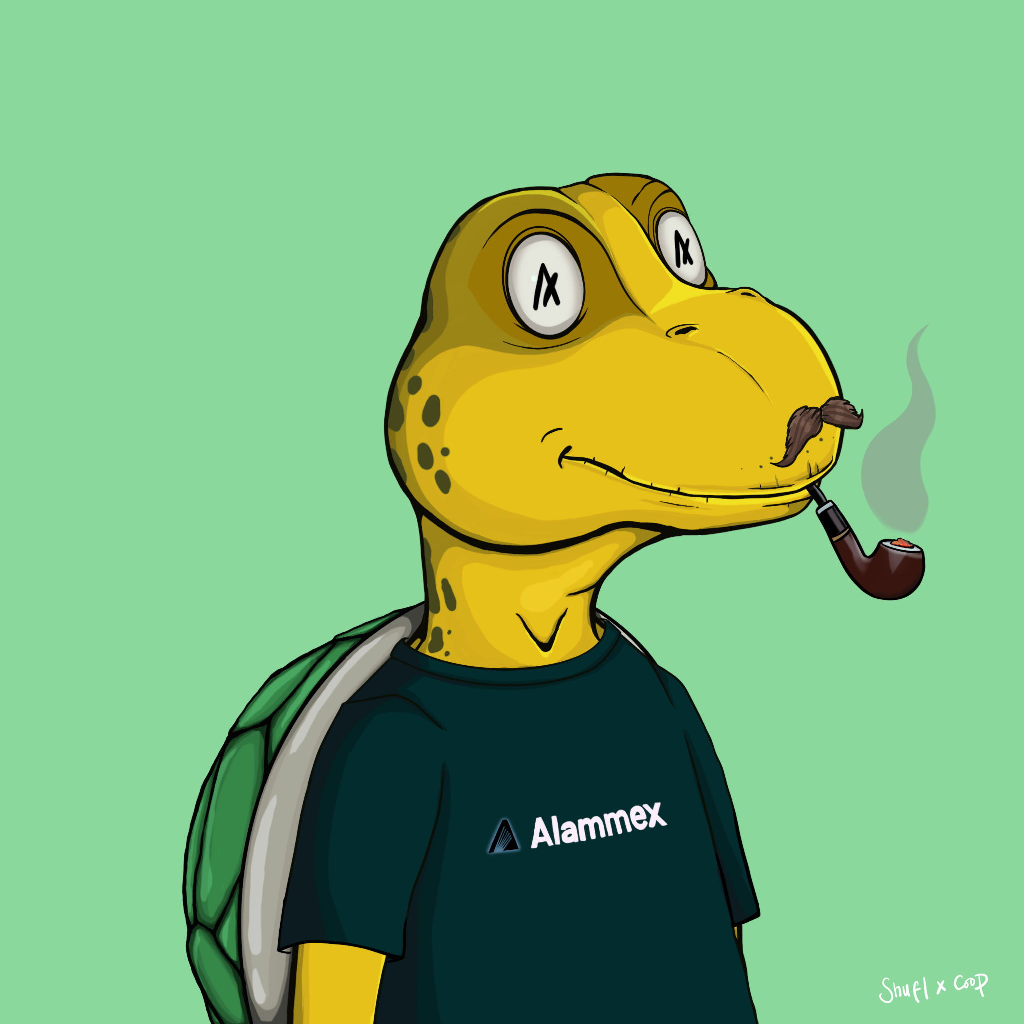 Coopa Troopa #1137 NFT on Algorand