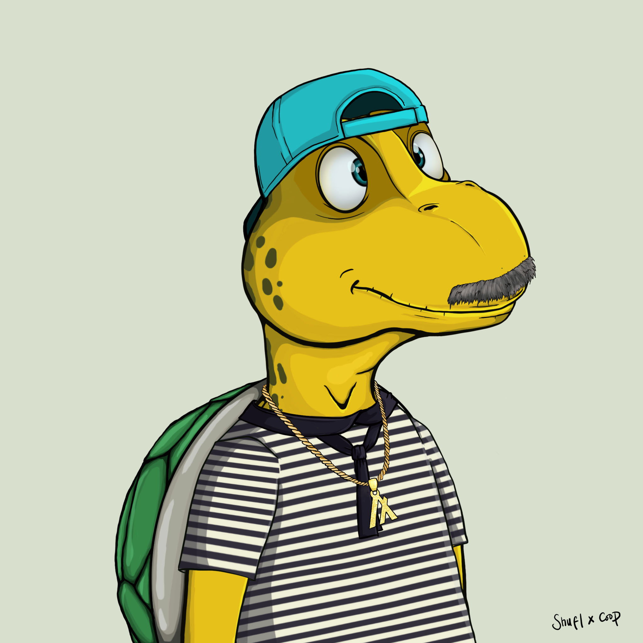 Coopa Troopa #1148 NFT on Algorand