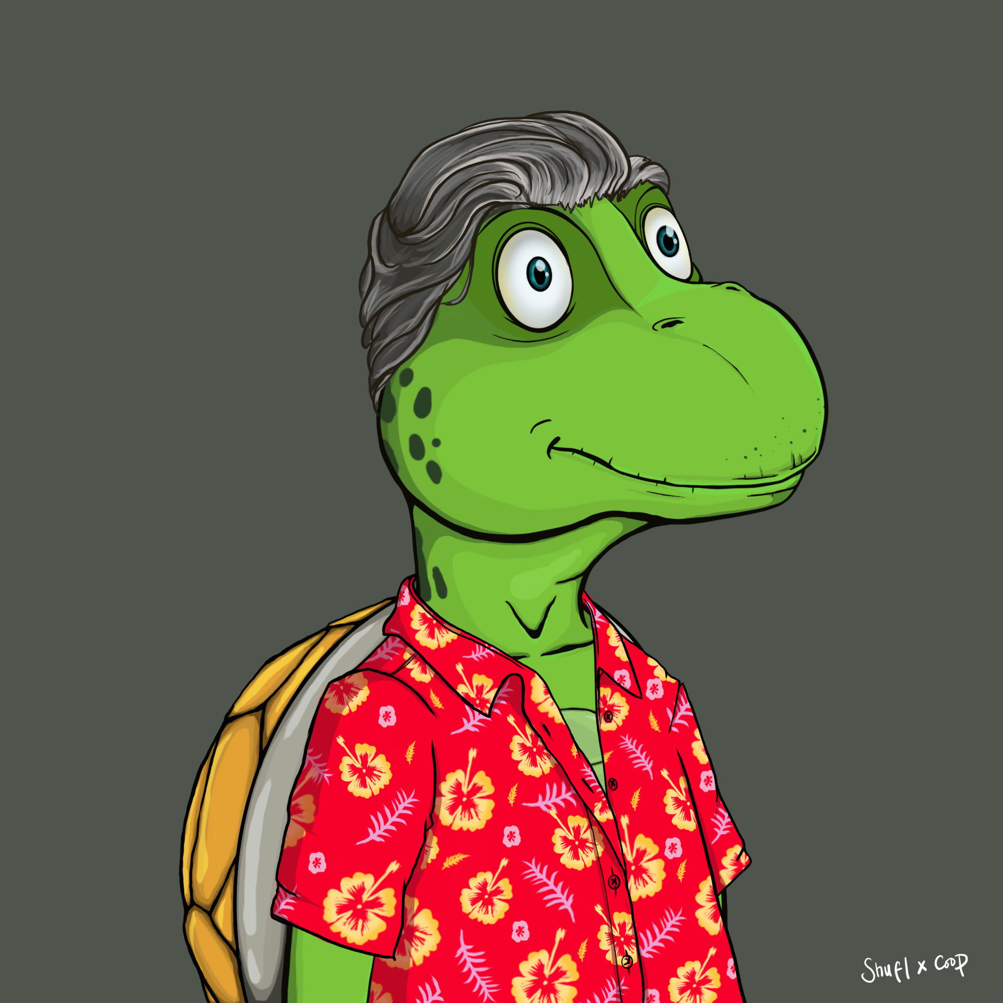 Coopa Troopa #1155 NFT on Algorand