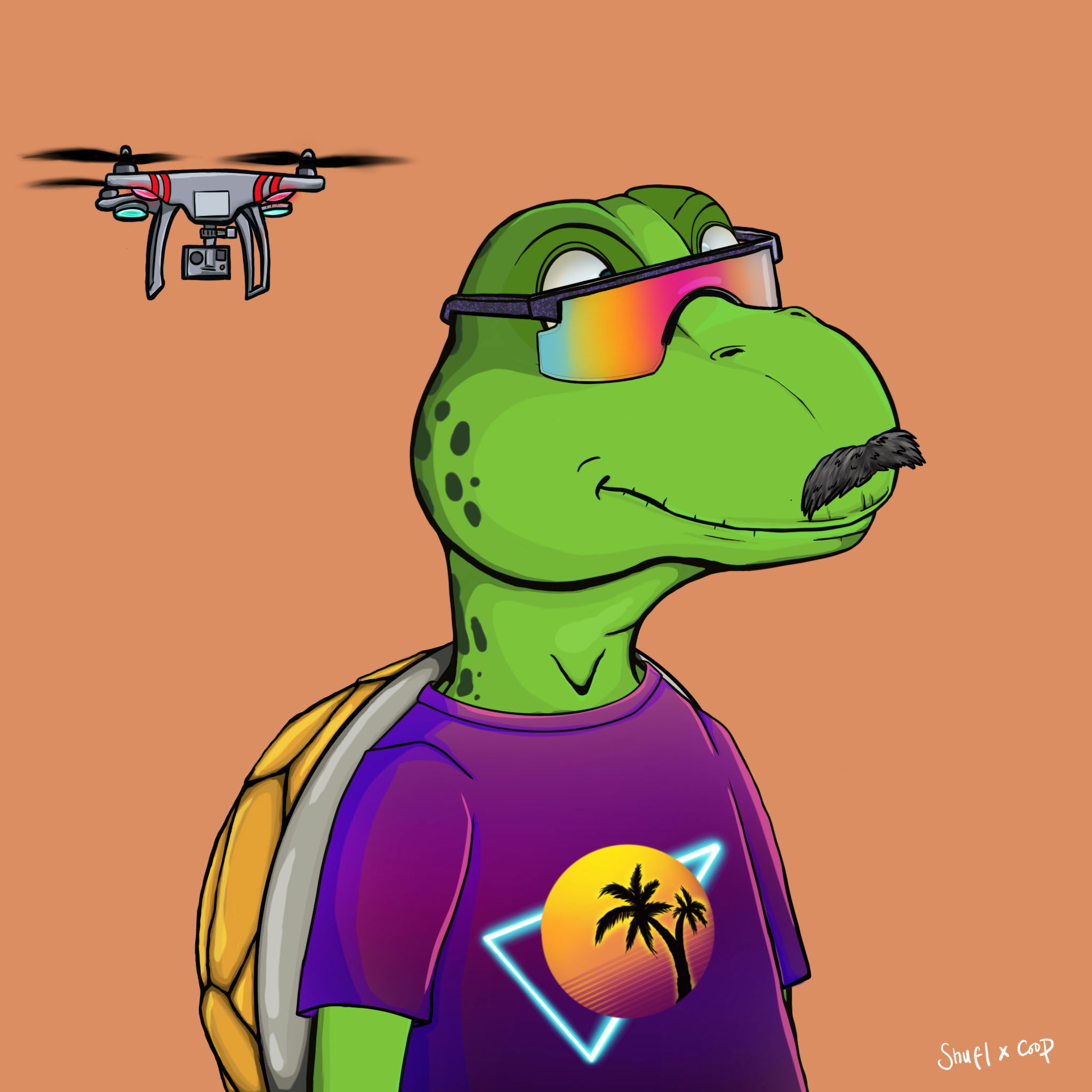 Coopa Troopa #1158 NFT on Algorand