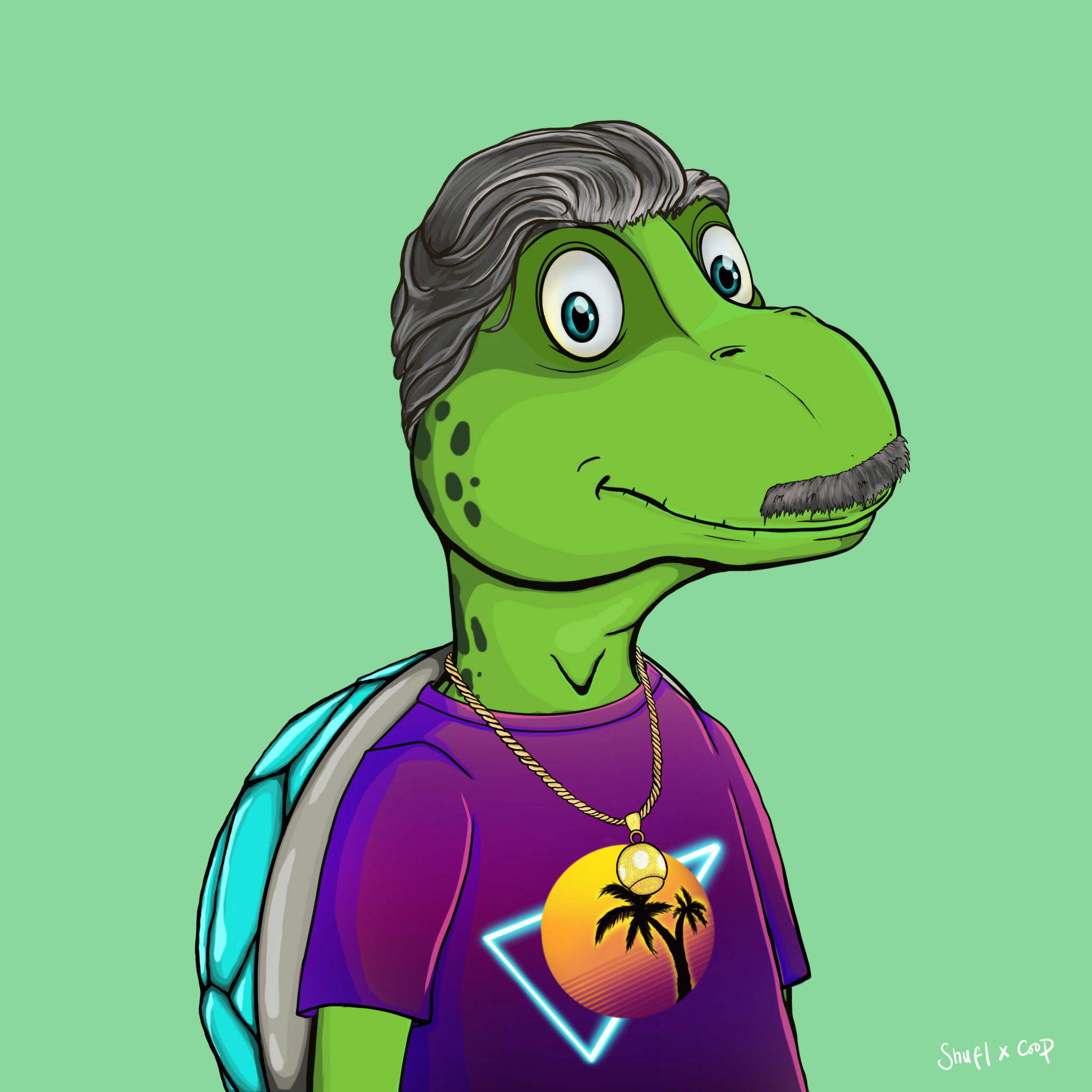 Coopa Troopa #1185 NFT on Algorand