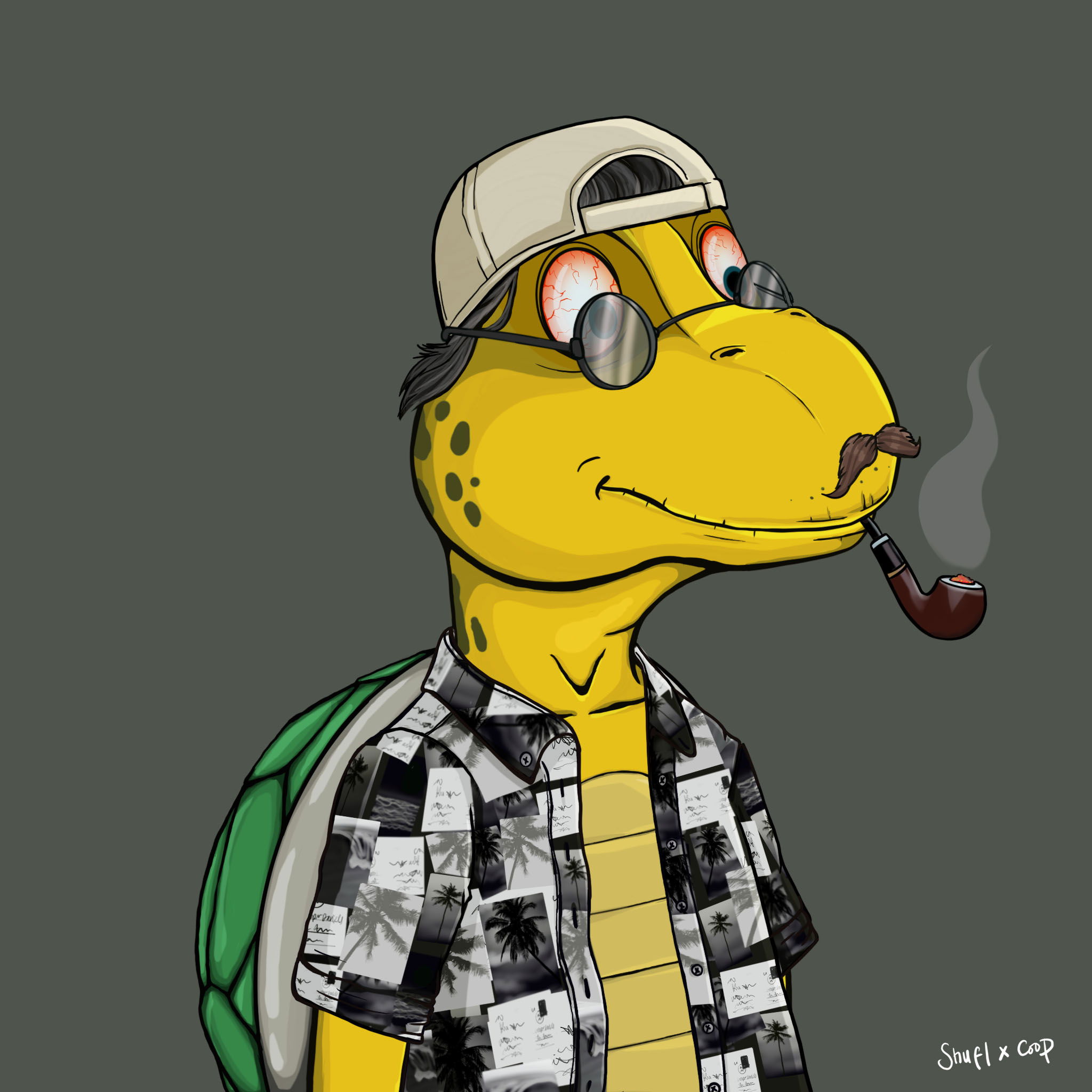 Coopa Troopa #1190 NFT on Algorand