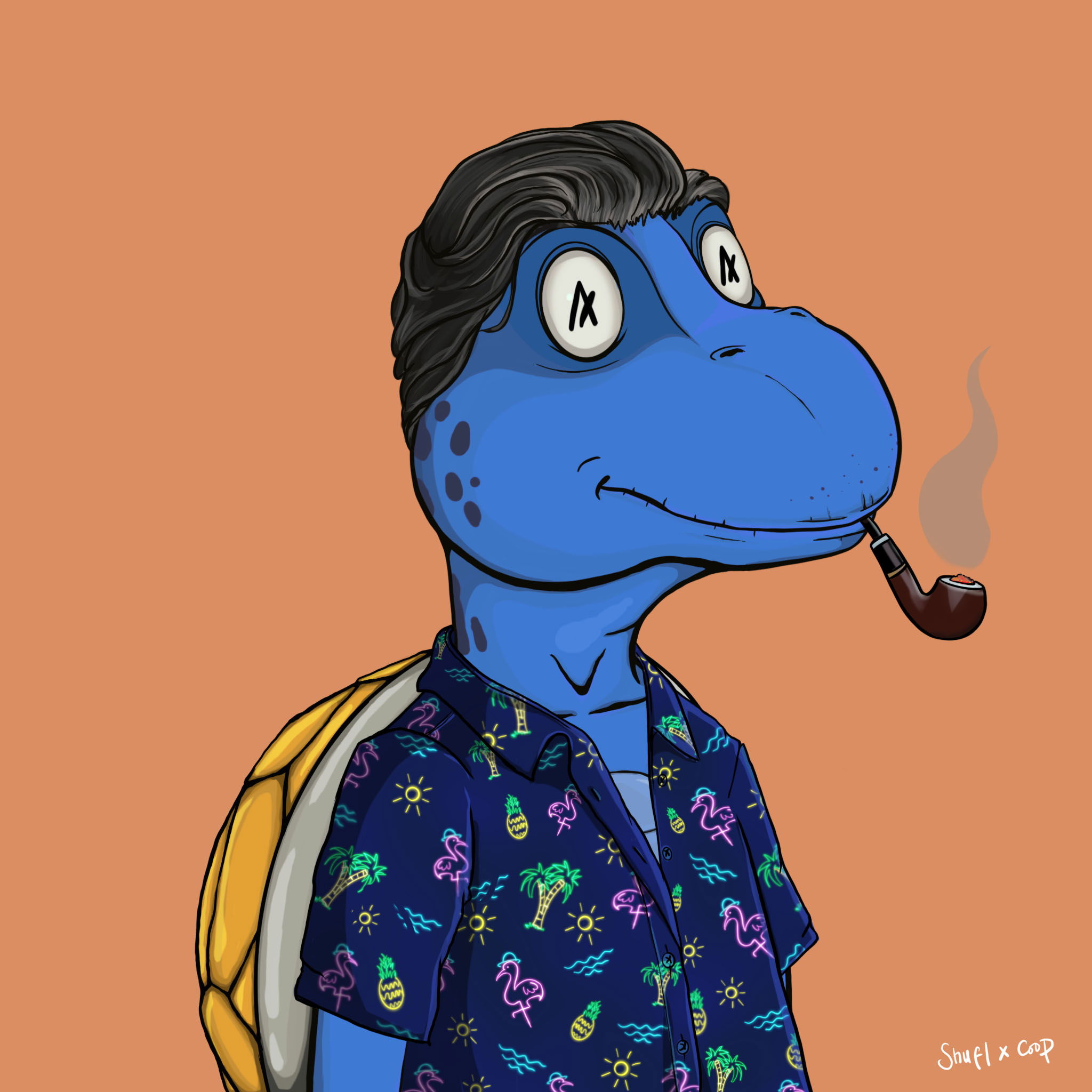 Coopa Troopa #1195 NFT on Algorand