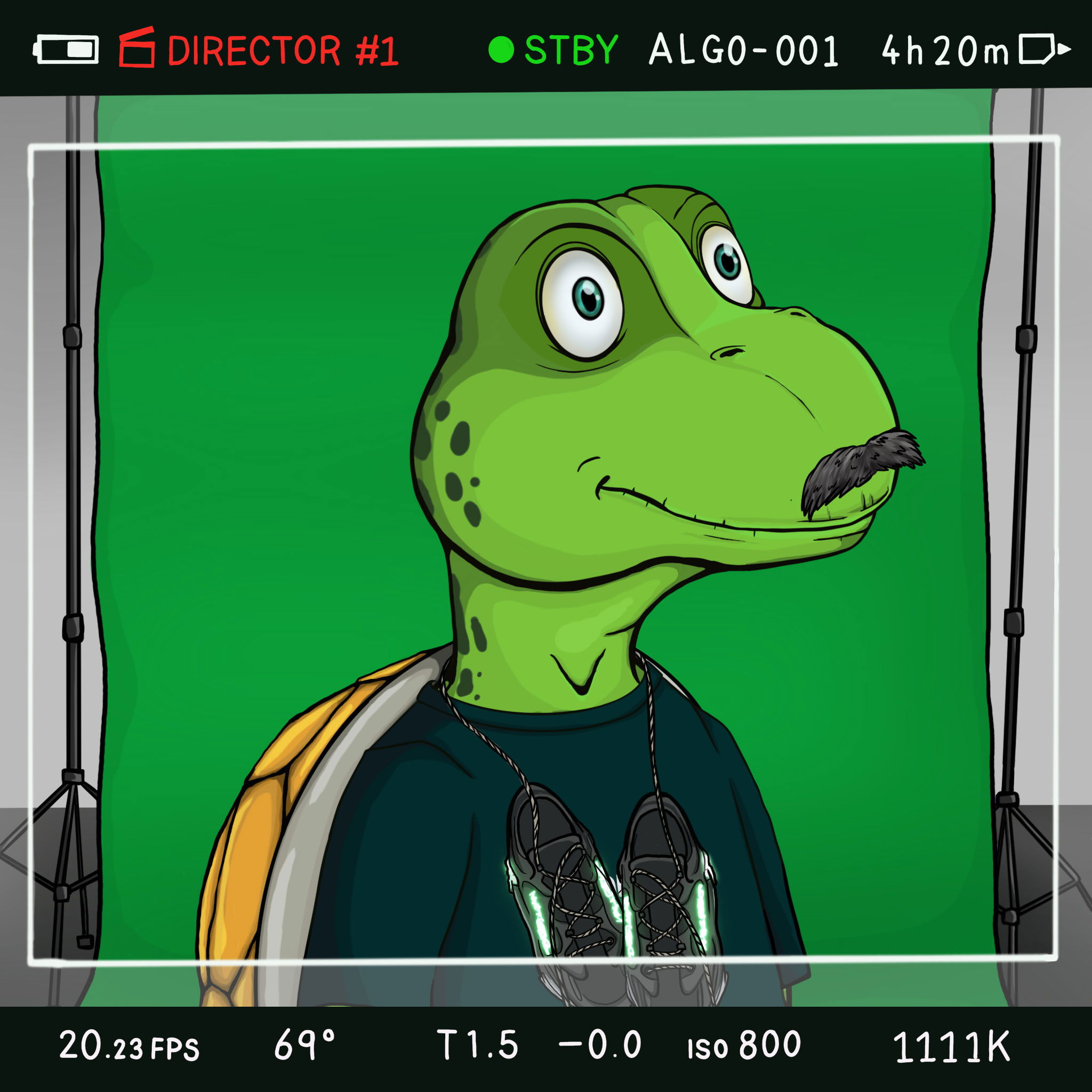 Coopa Troopa #1197 NFT on Algorand