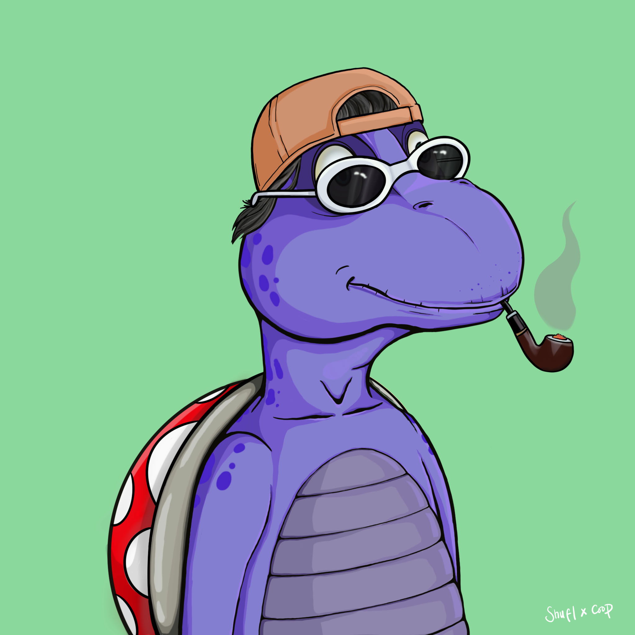 Coopa Troopa #1210 NFT on Algorand